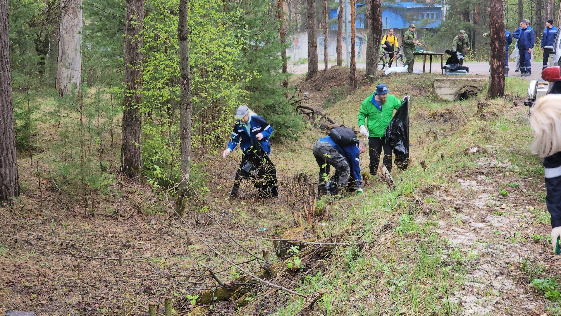 субботник, лес, лесничество, уборка, областной субботник, егорьевск, Бреховская,