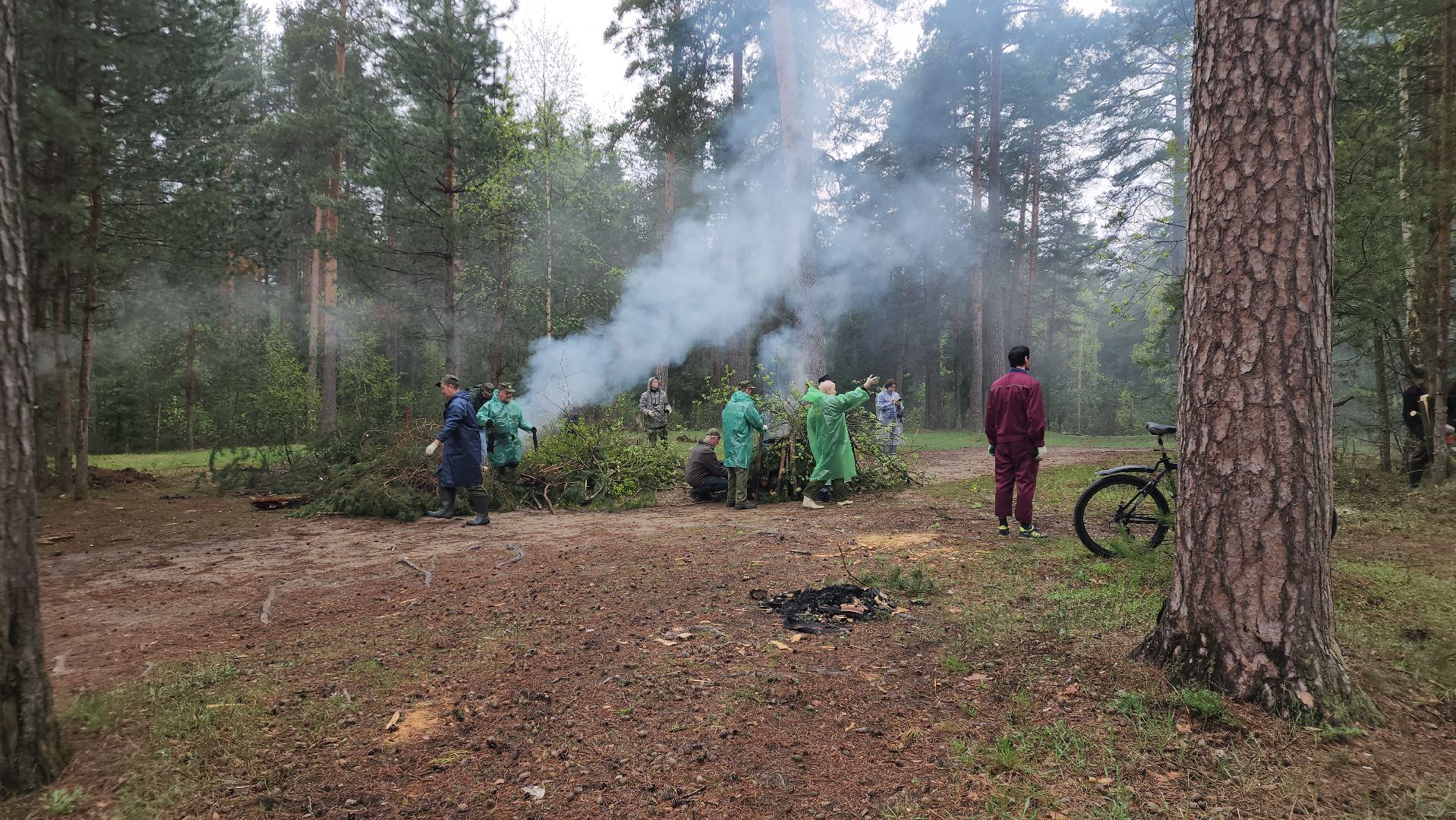 субботник, лес, лесничество, уборка, областной субботник, егорьевск, Бреховская,