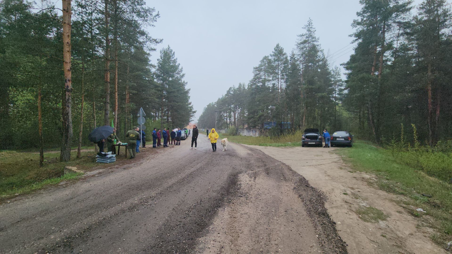 субботник, лес, лесничество, уборка, областной субботник, егорьевск, Бреховская,