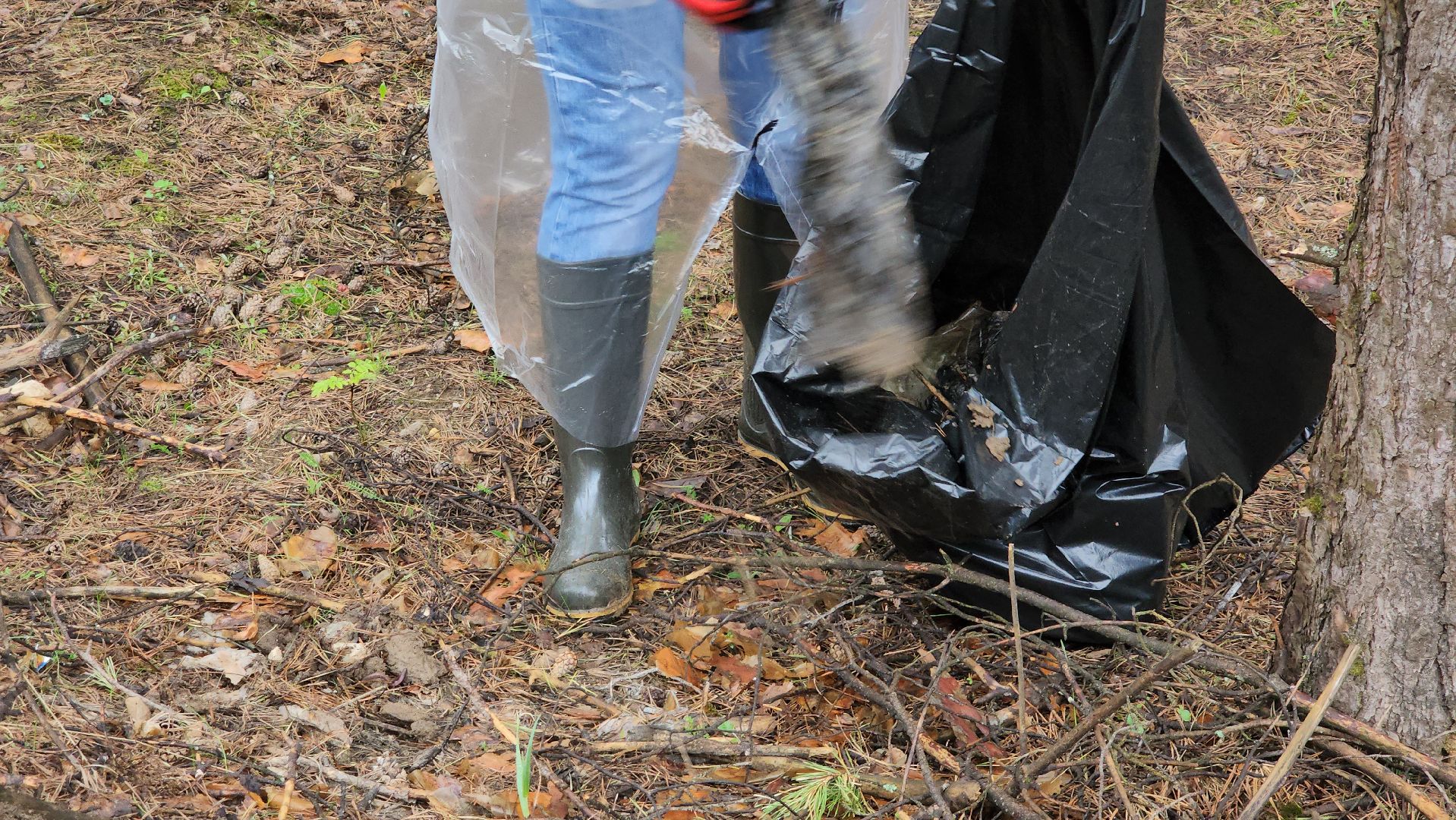 субботник, лес, лесничество, уборка, областной субботник, егорьевск, Бреховская,
