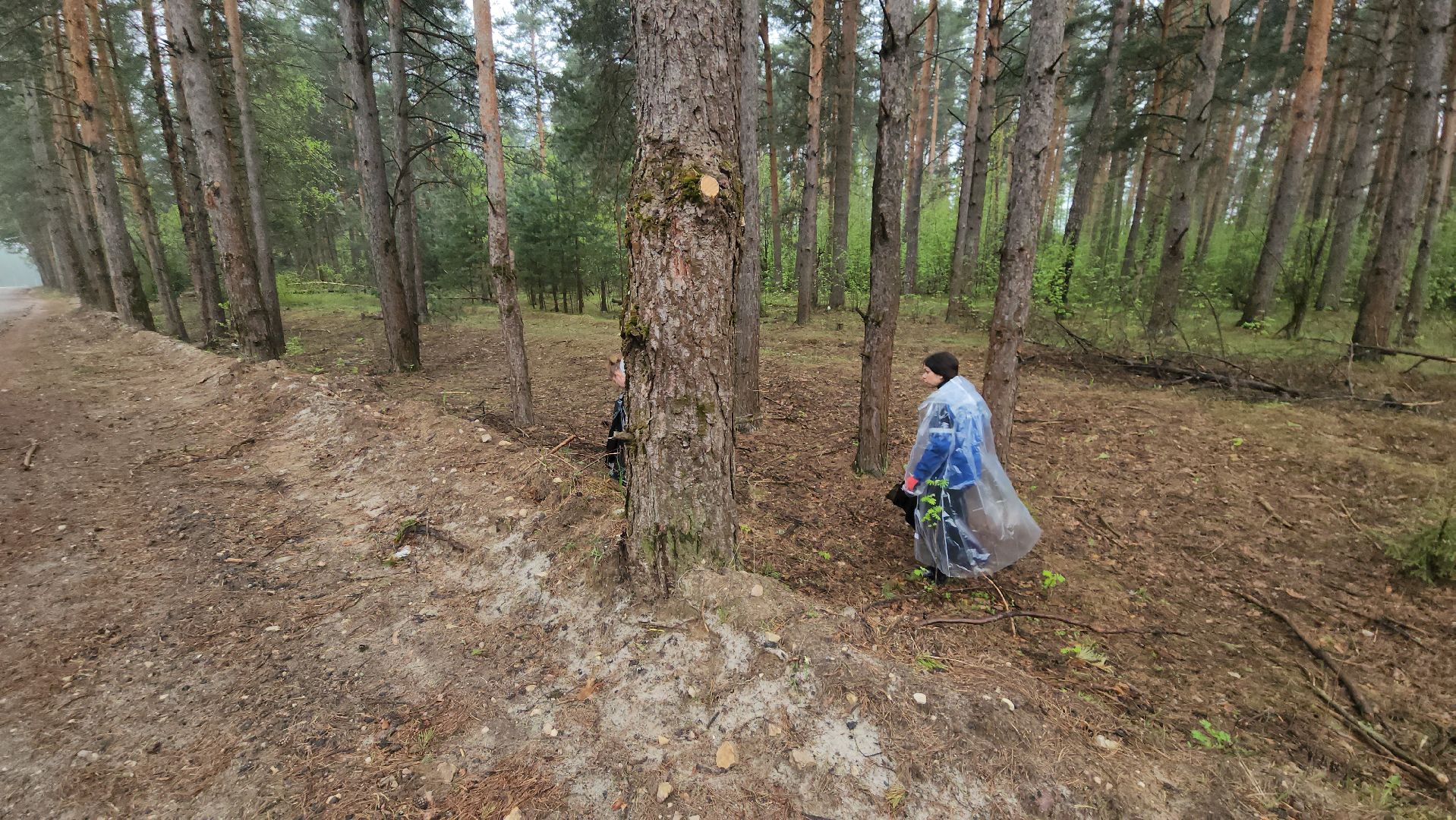 субботник, лес, лесничество, уборка, областной субботник, егорьевск, Бреховская,