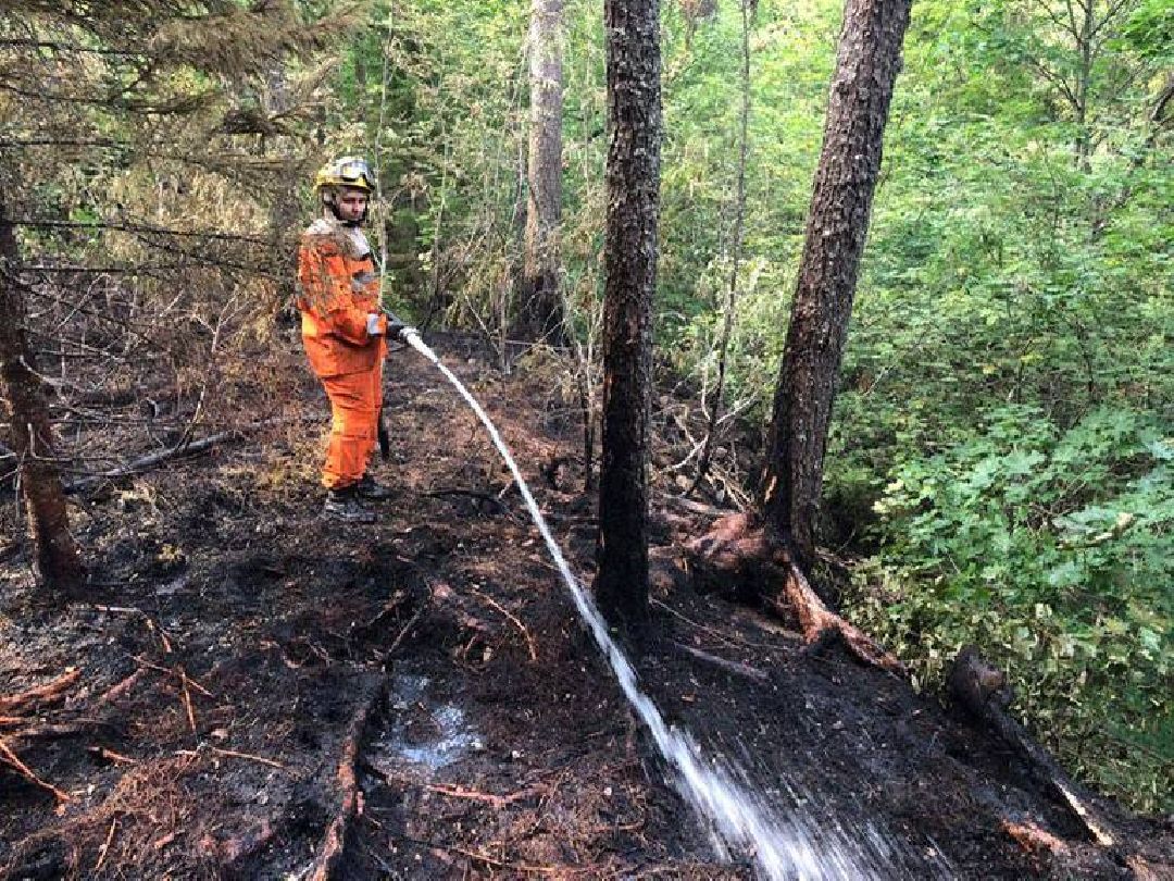 Врач, пожарные