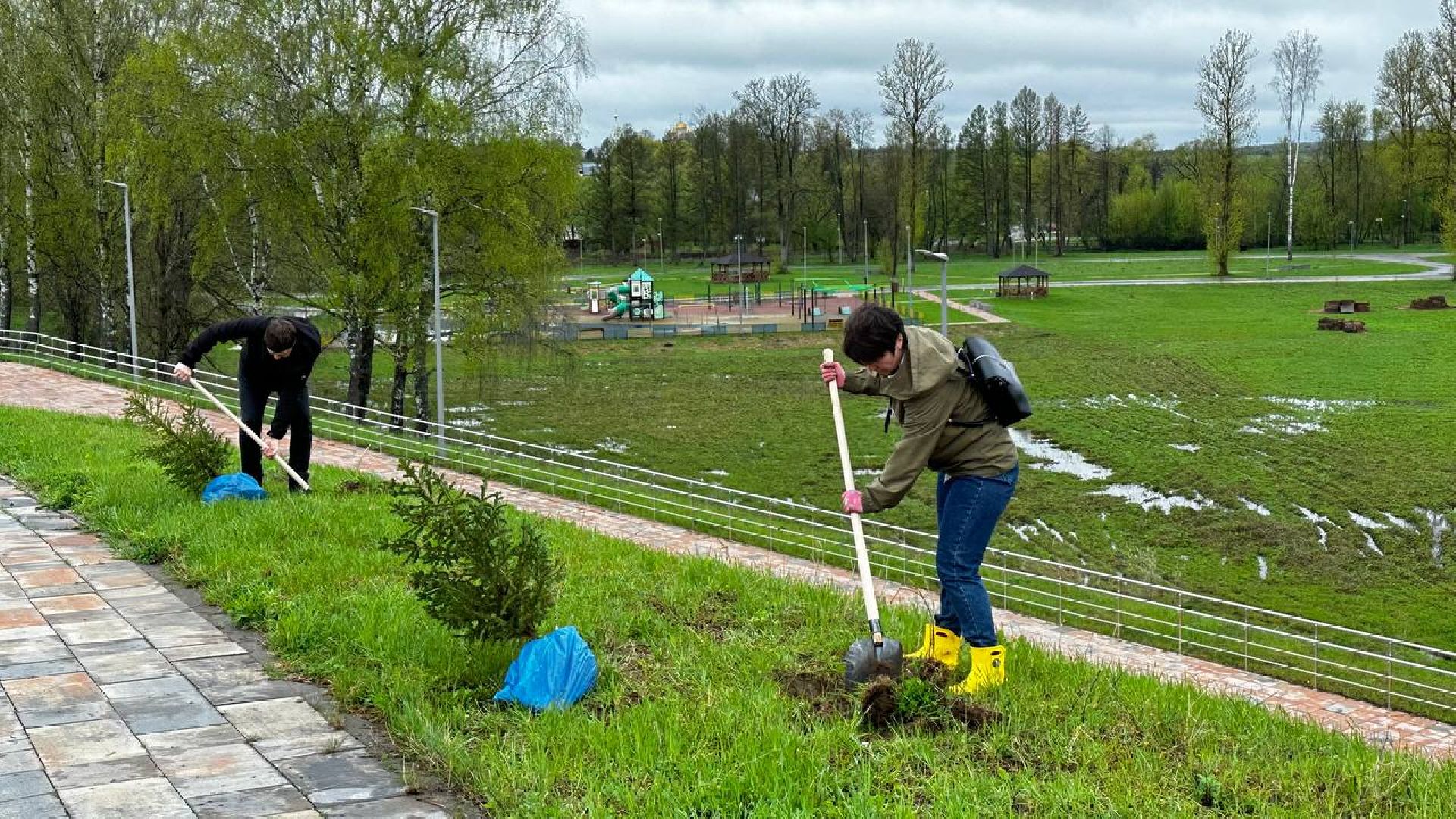 можайск, можайский городской округ, подмосковье, день добрых дел, акция, областная акция, волонтеры, активисты, посадка деревьев, парк, парк ривьера, благоустройство, субботник,