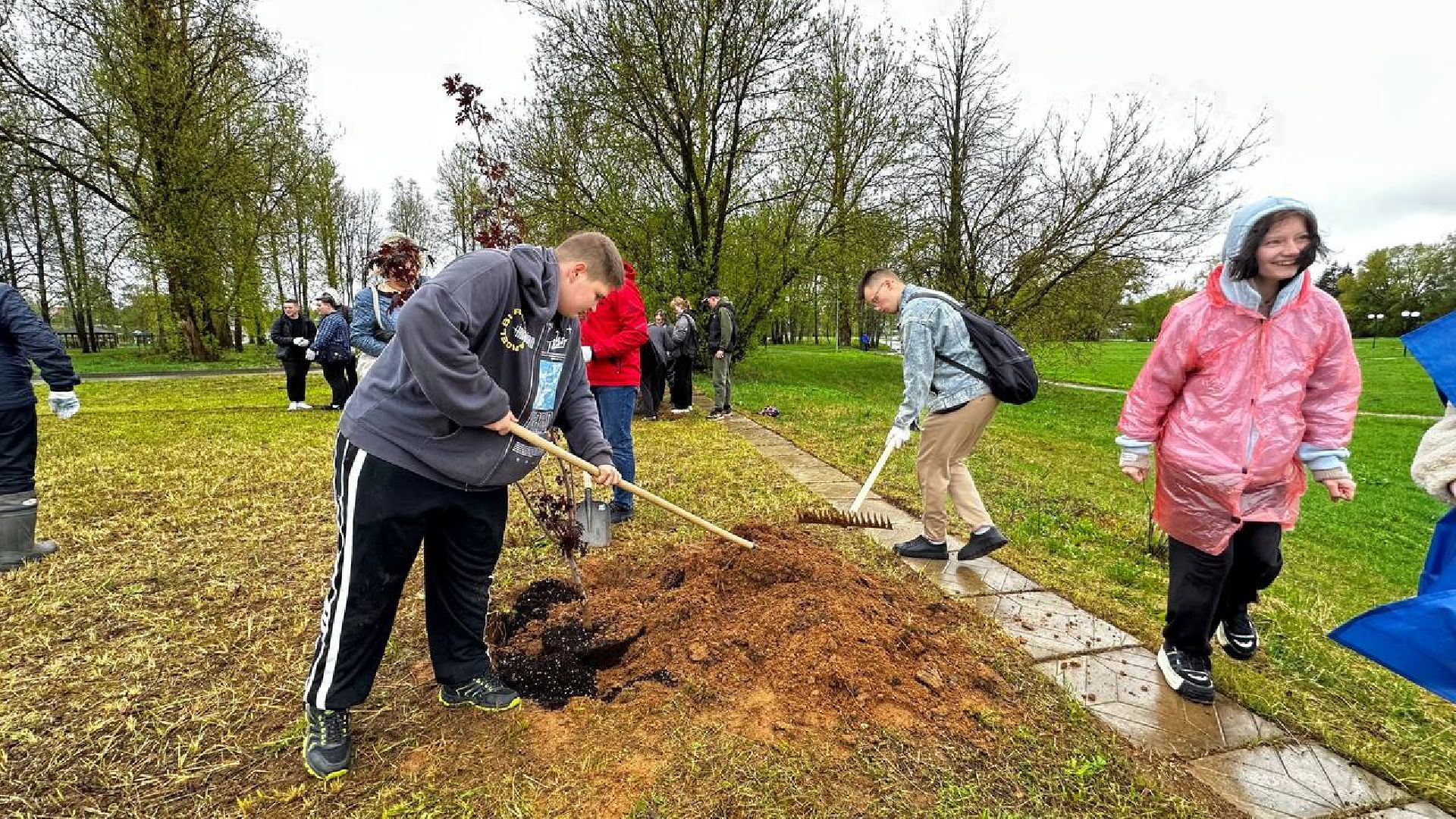 можайск, можайский городской округ, подмосковье, день добрых дел, акция, областная акция, волонтеры, активисты, посадка деревьев, парк, парк ривьера, благоустройство, субботник,