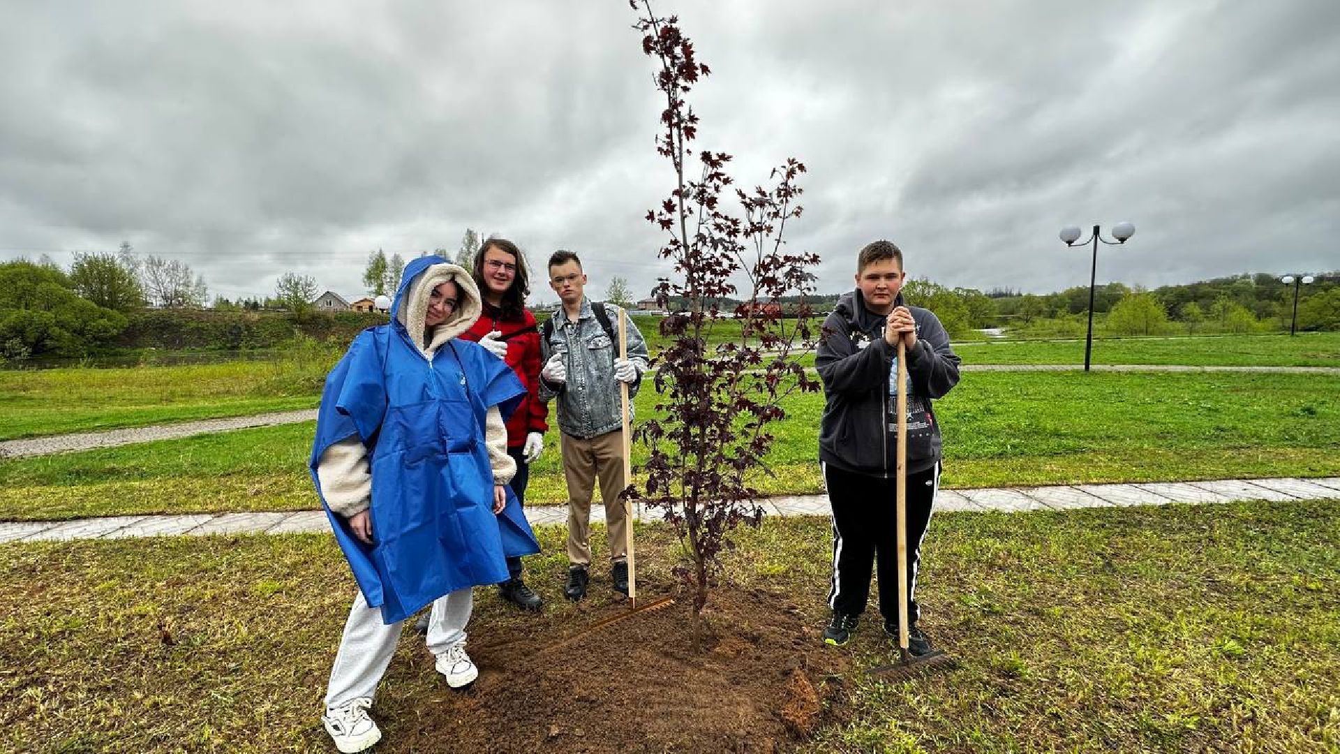 можайск, можайский городской округ, подмосковье, день добрых дел, акция, областная акция, волонтеры, активисты, посадка деревьев, парк, парк ривьера, благоустройство, субботник,