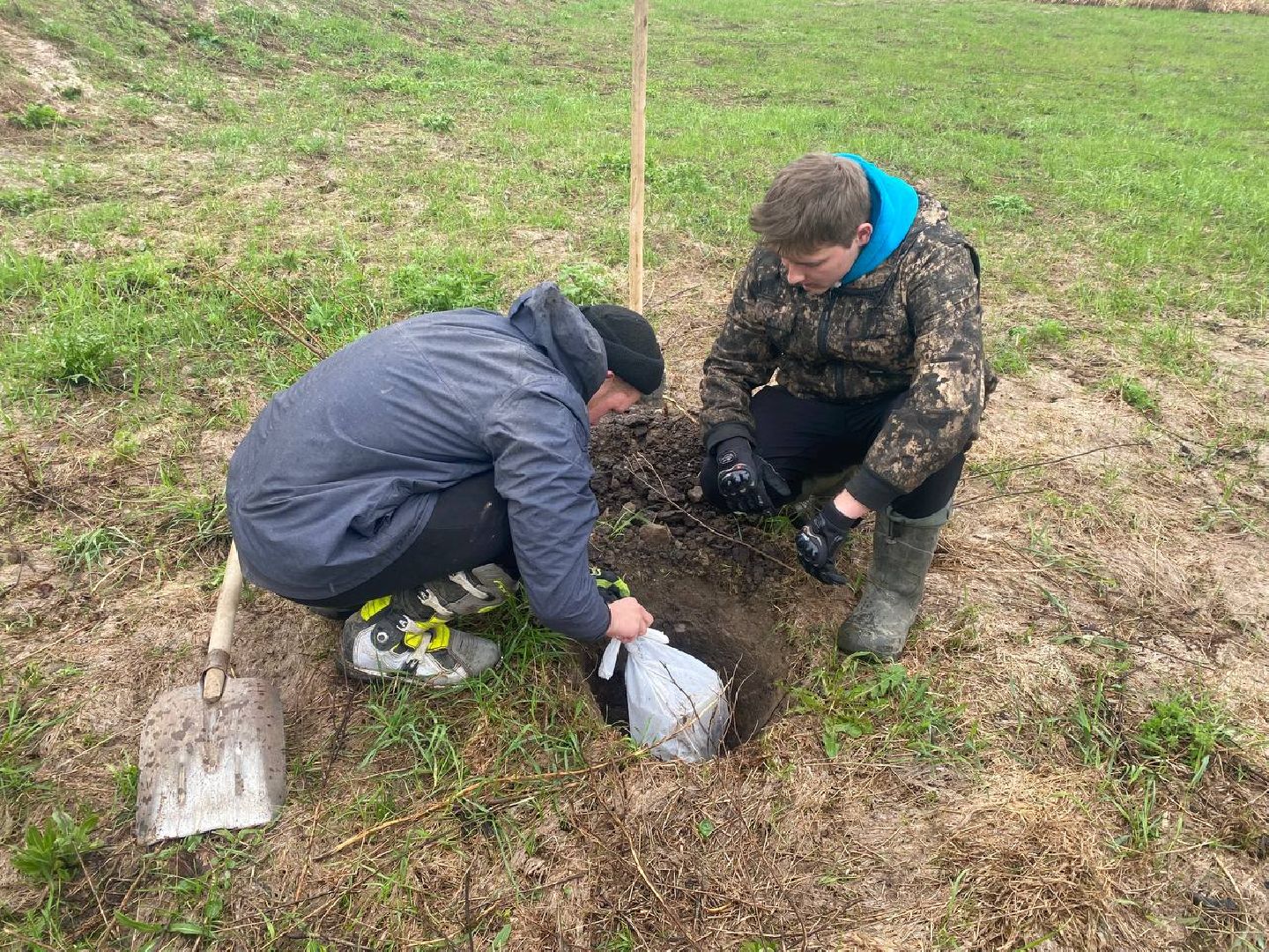 можайск, можайский городской округ, подмосковье, день добрых дел, акция, областная акция, волонтеры, активисты, посадка деревьев, парк, парк ривьера, благоустройство, субботник,