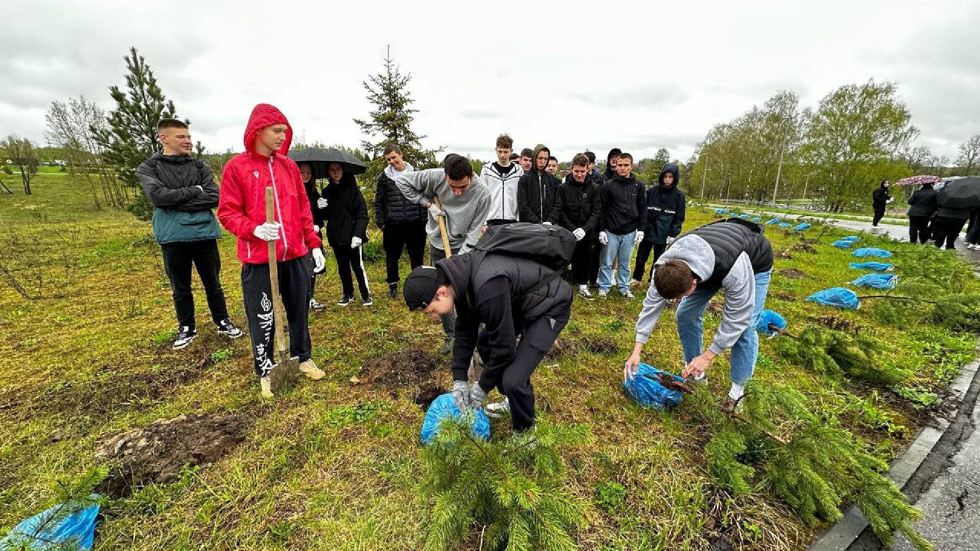можайск, можайский городской округ, подмосковье, день добрых дел, акция, областная акция, волонтеры, активисты, посадка деревьев, парк, парк ривьера, благоустройство, субботник,