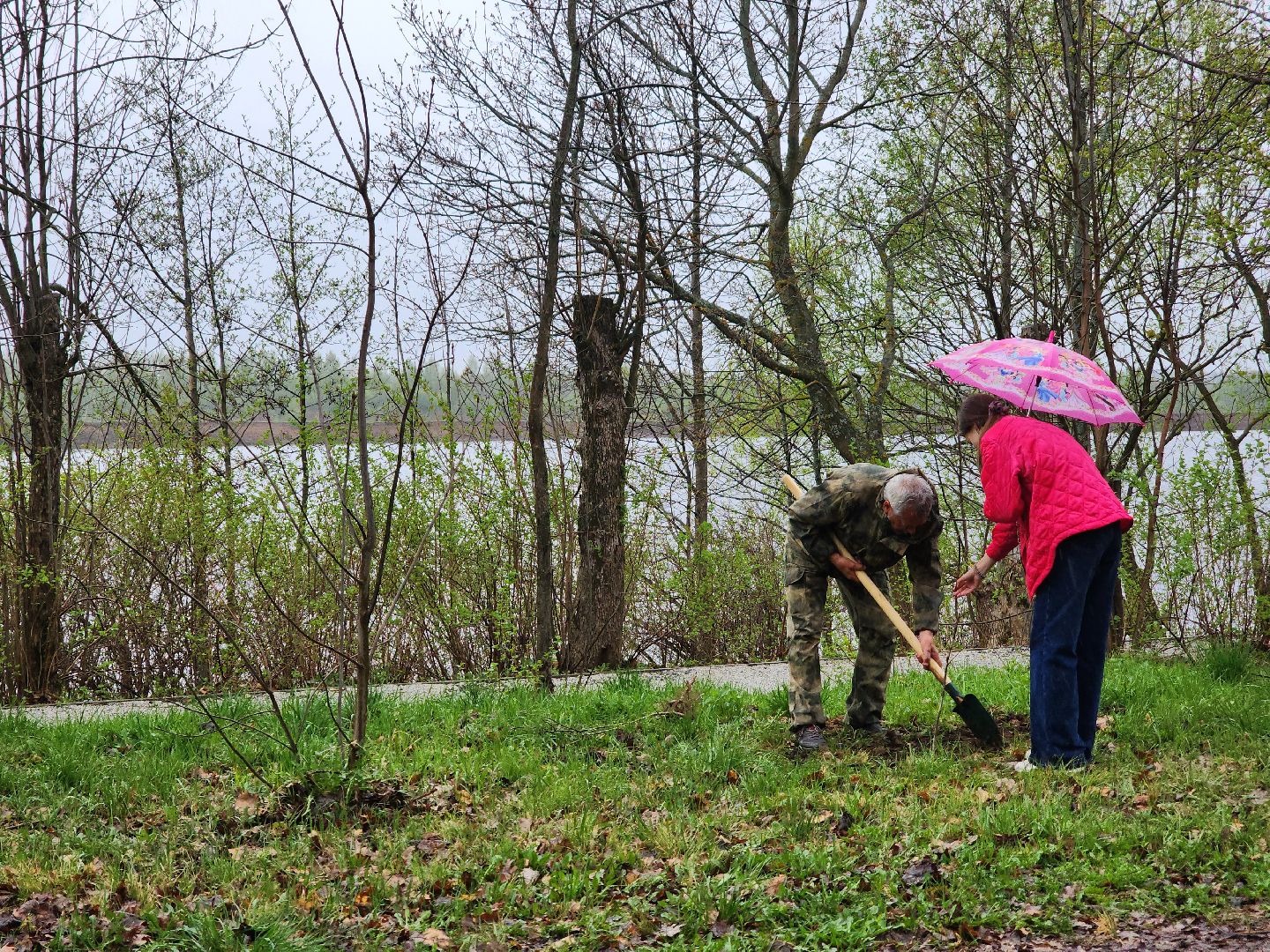 Дубна, всероссийский субботник, Школьники, посадка деревьев,