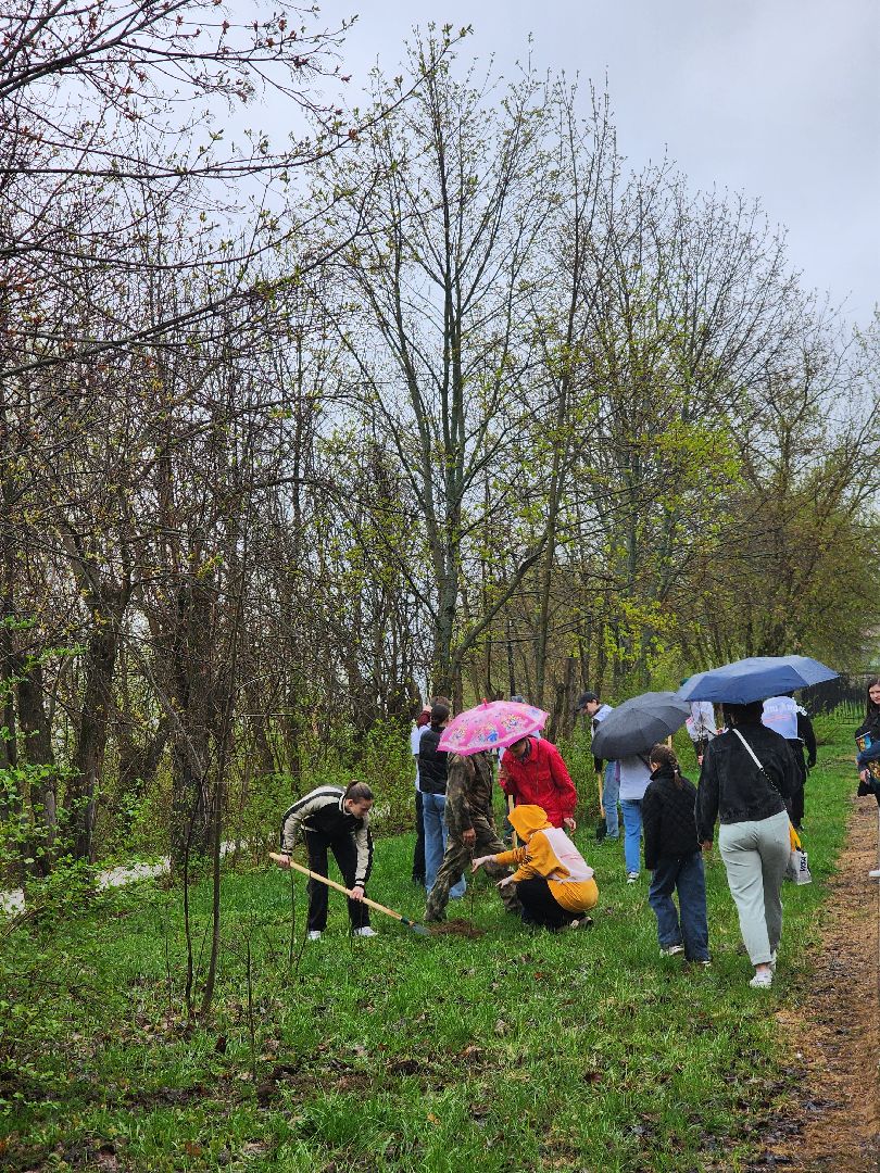 Дубна, всероссийский субботник, Школьники, посадка деревьев,