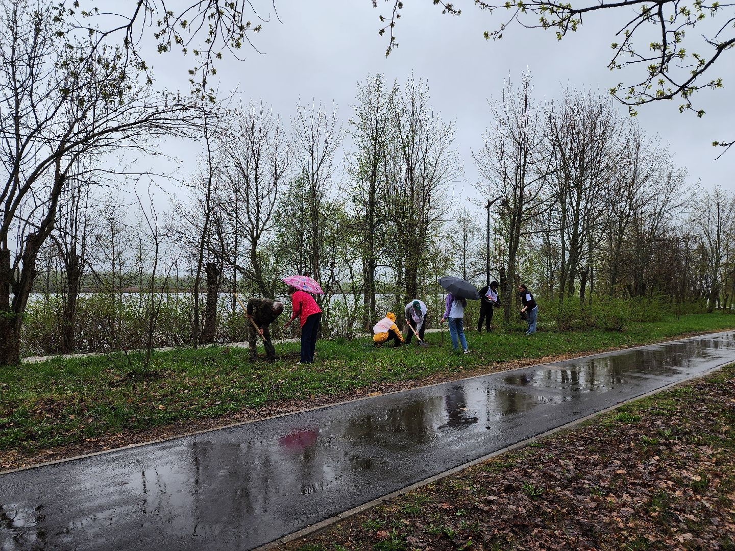 Дубна, всероссийский субботник, Школьники, посадка деревьев,