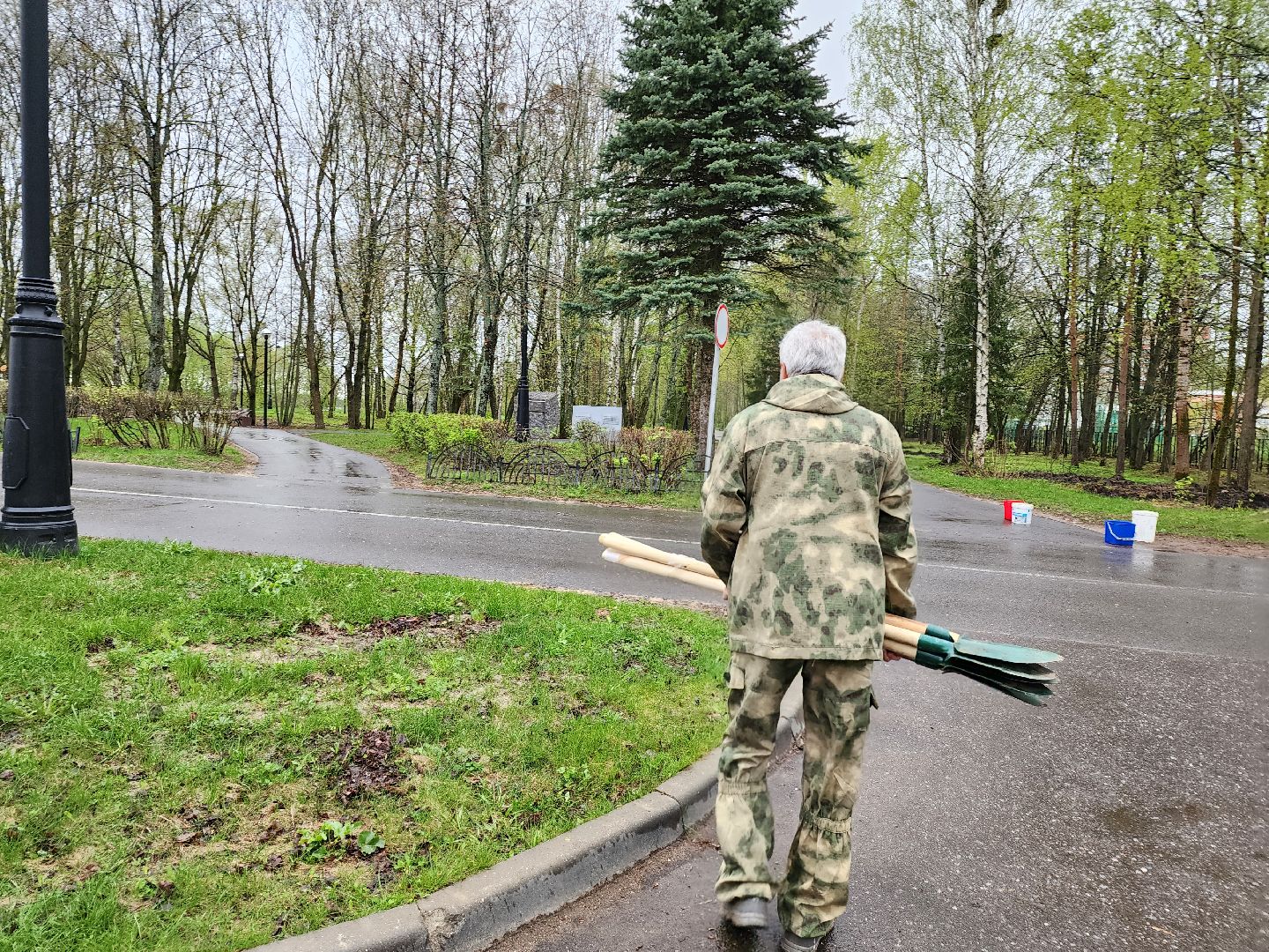 Дубна, всероссийский субботник, Школьники, посадка деревьев,
