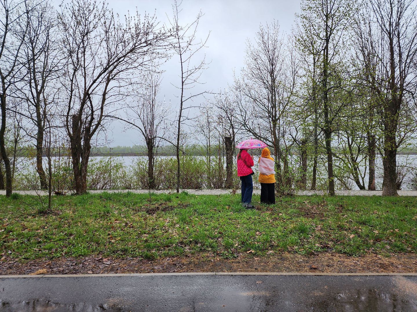 Дубна, всероссийский субботник, Школьники, посадка деревьев,