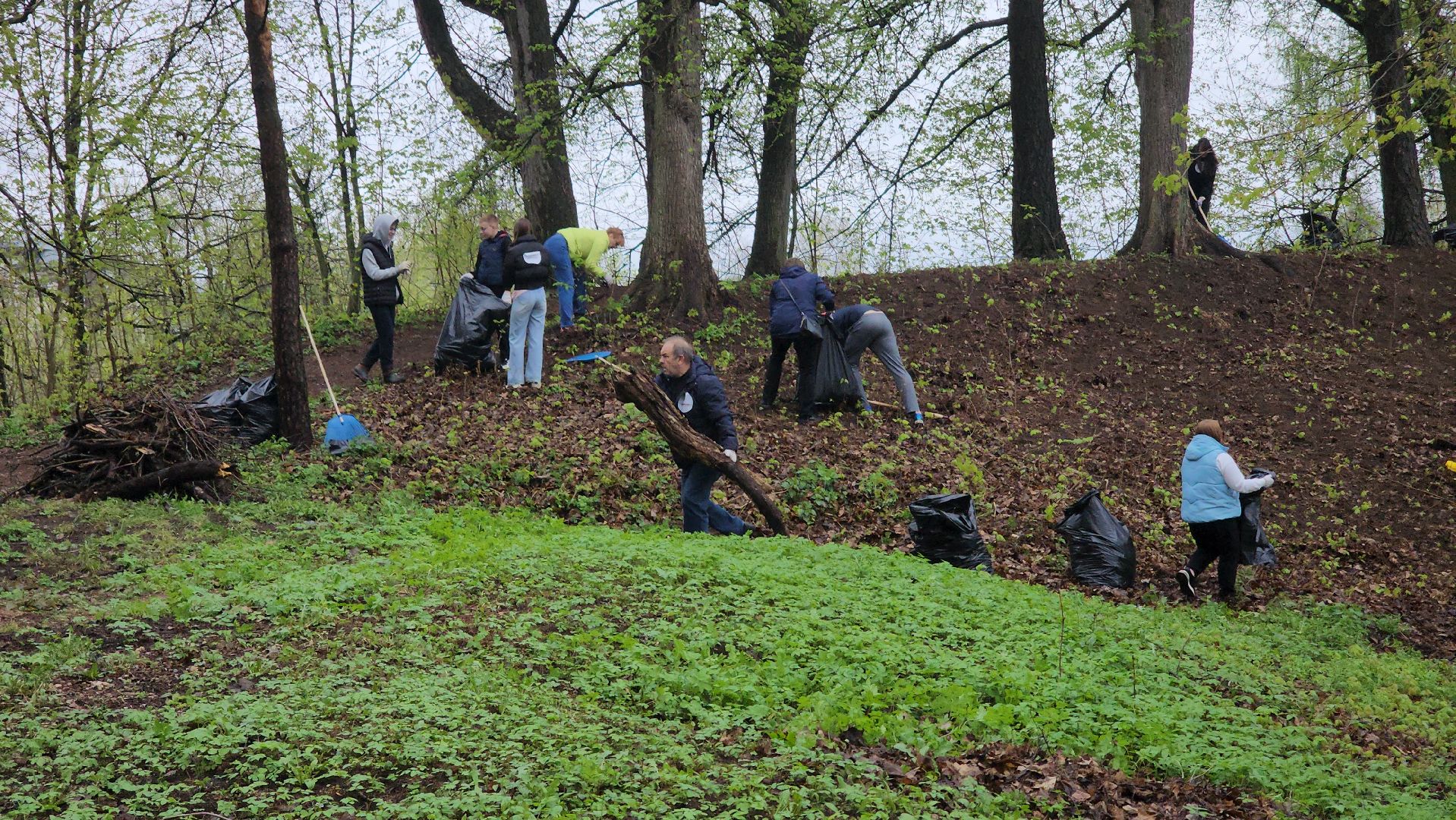 Субботник, общеобластной субботник, день добрых дел, парк городок, Руза, Рузский округ, Московская область,