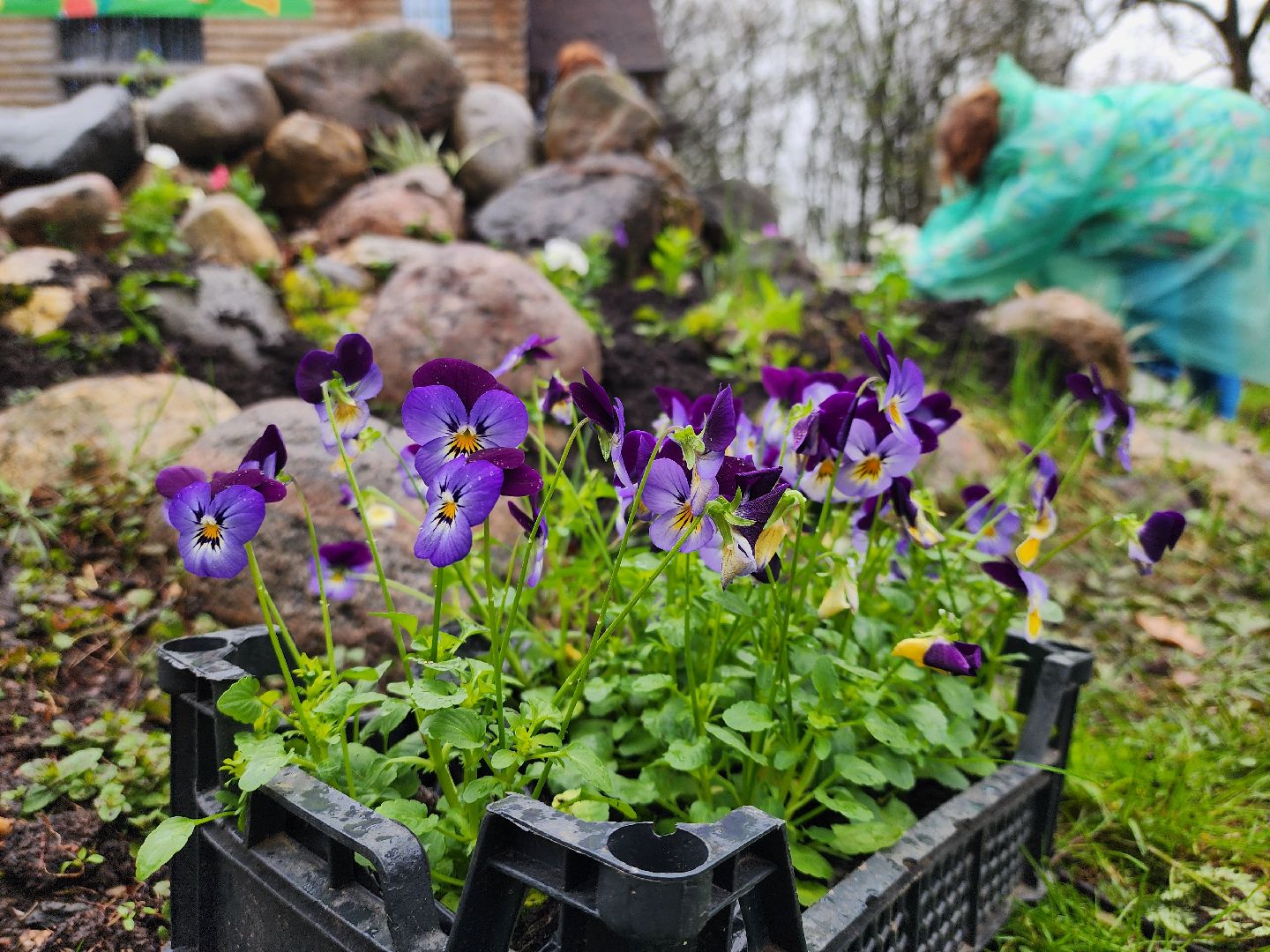 Субботник, общеобластной субботник, день добрых дел, парк городок, Руза, Рузский округ, Московская область,