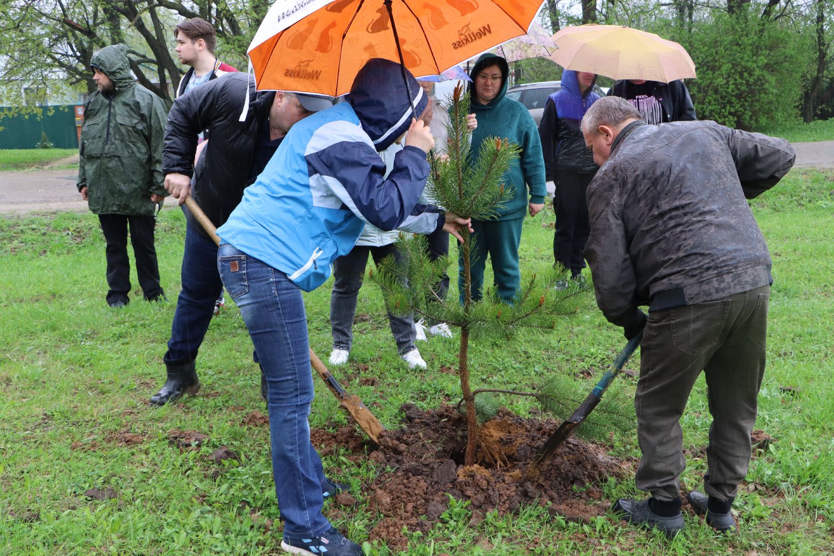 Серебряные Пруды, сквер к 100-летию Серебряно-Прудского района, сосны, посадка деревьев, день добрых дел, общеобластной субботник,
