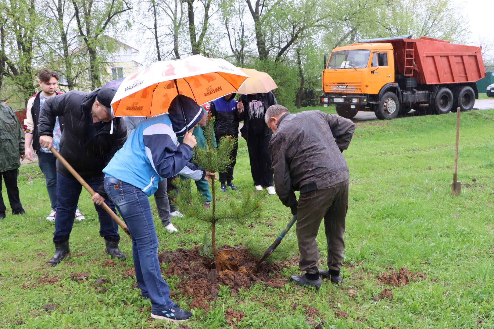 Серебряные Пруды, сквер к 100-летию Серебряно-Прудского района, сосны, посадка деревьев, день добрых дел, общеобластной субботник,