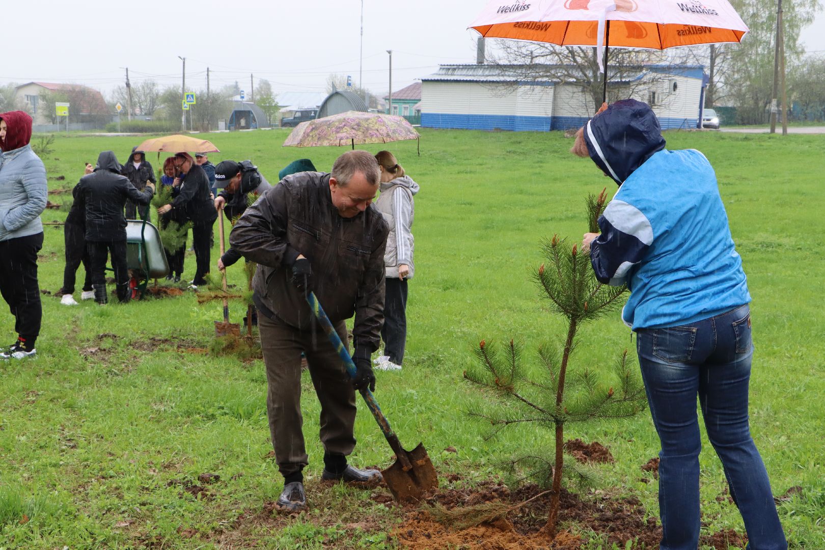 Серебряные Пруды, сквер к 100-летию Серебряно-Прудского района, сосны, посадка деревьев, день добрых дел, общеобластной субботник,