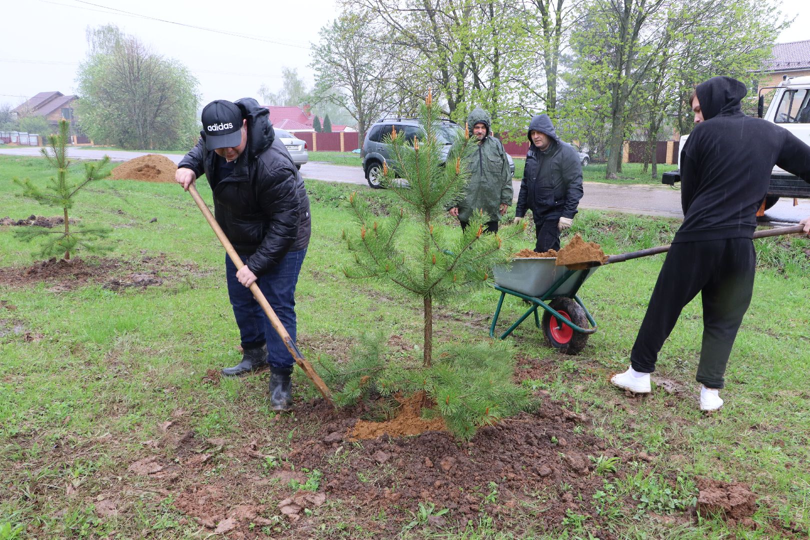 Серебряные Пруды, сквер к 100-летию Серебряно-Прудского района, сосны, посадка деревьев, день добрых дел, общеобластной субботник,