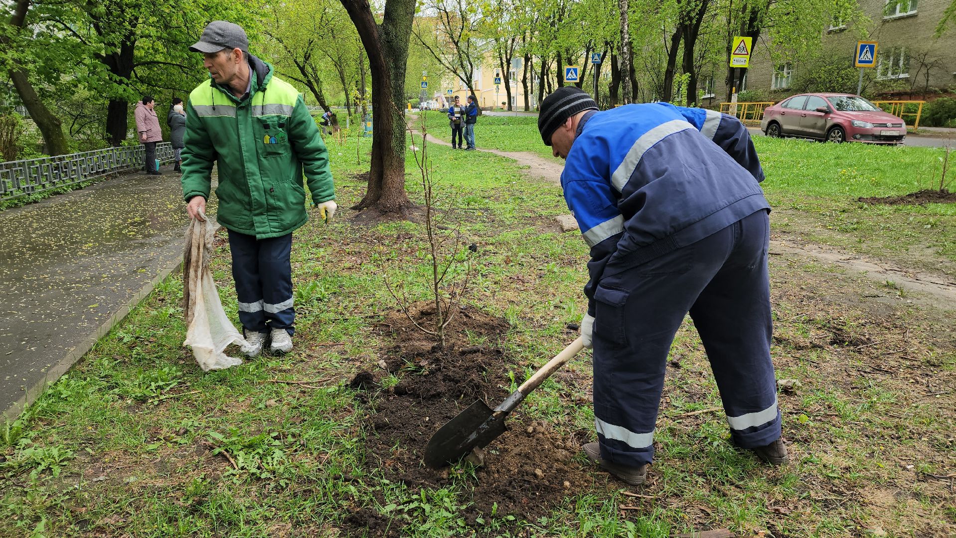 субботник, посадка деревьев, день добрых дел,