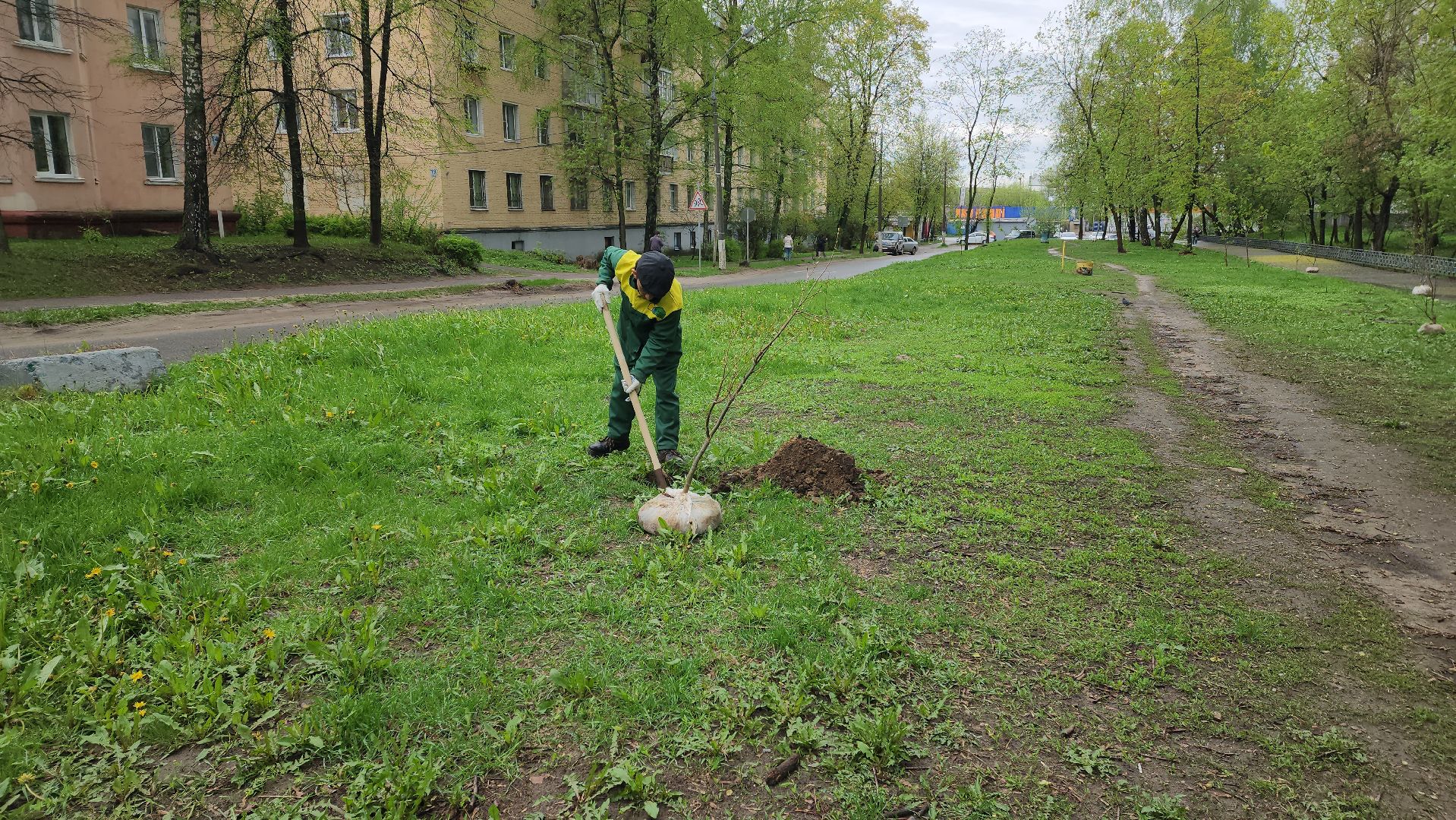 субботник, посадка деревьев, день добрых дел,