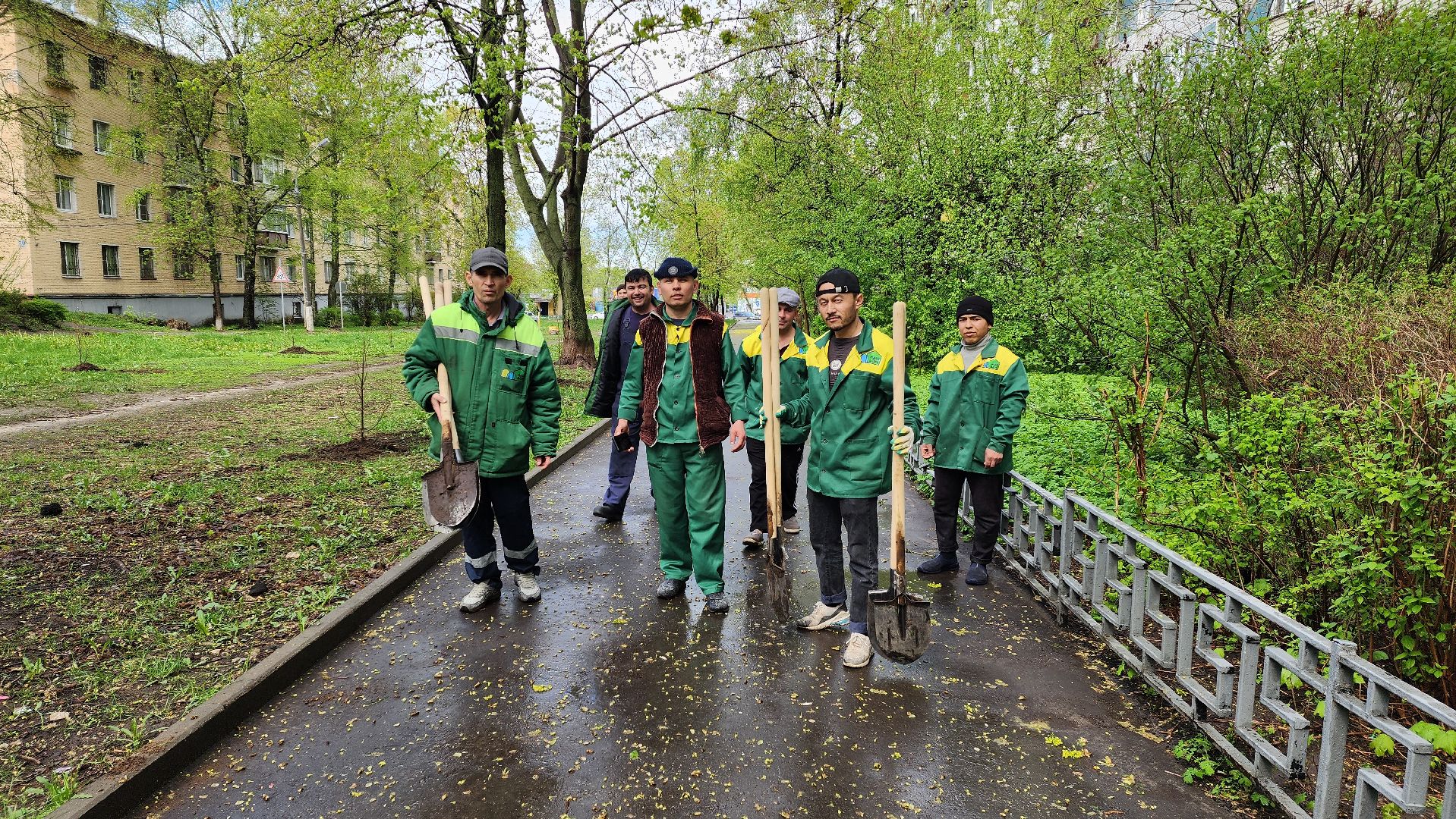 субботник, посадка деревьев, день добрых дел,