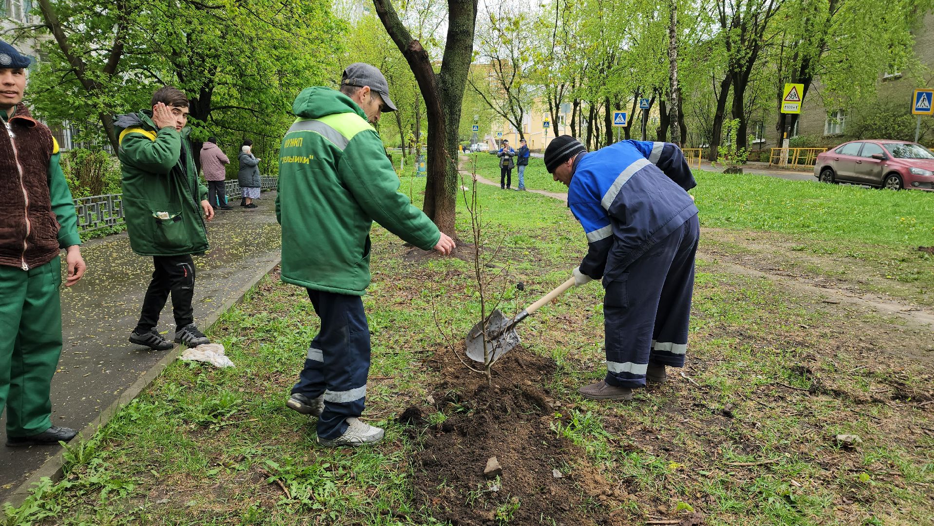 субботник, посадка деревьев, день добрых дел,