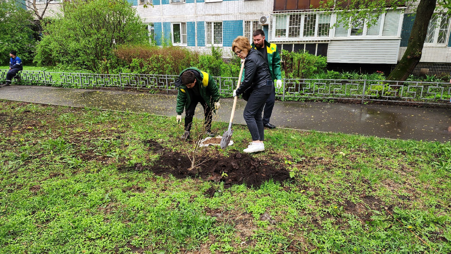 субботник, посадка деревьев, день добрых дел,