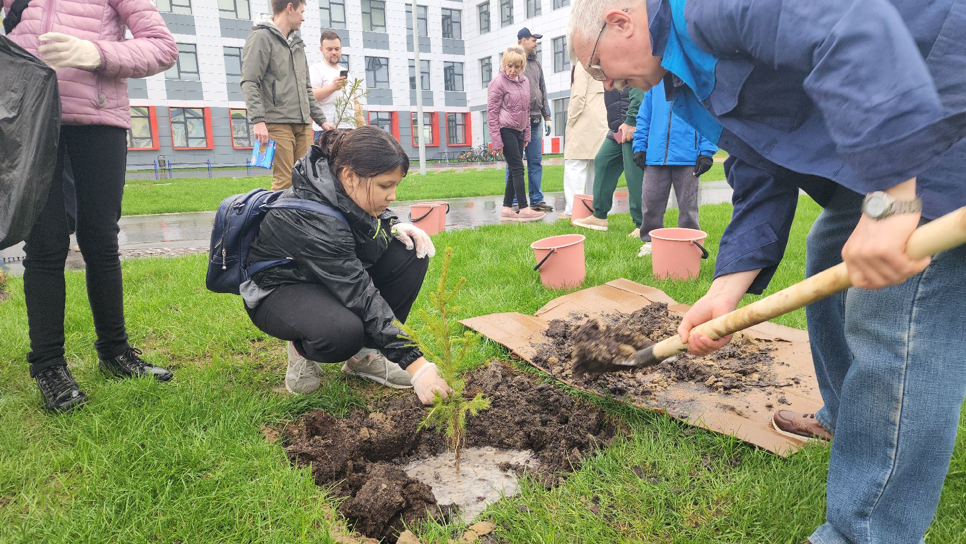 день добрых дел, шатура, лицей перспектива, елки, высадка деревьев, областная акция,