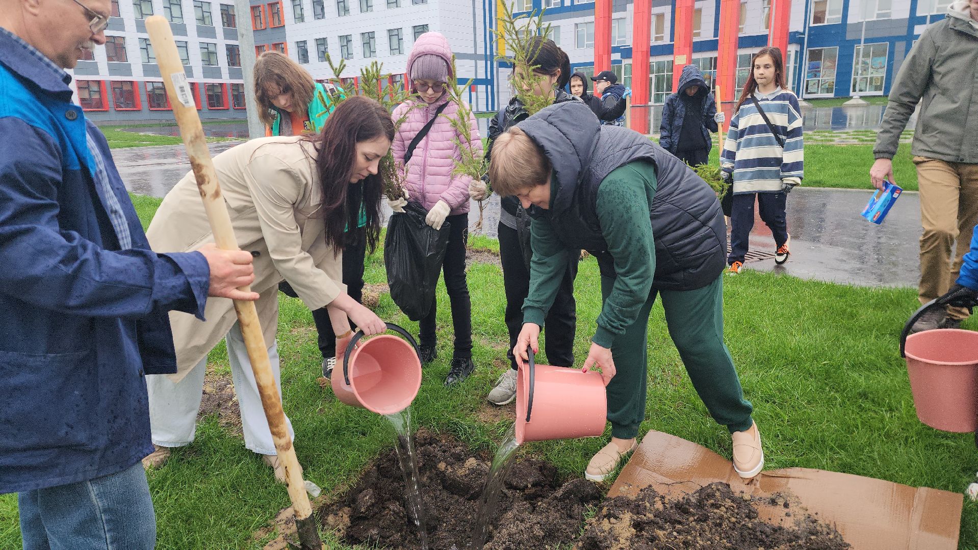 день добрых дел, шатура, лицей перспектива, елки, высадка деревьев, областная акция,
