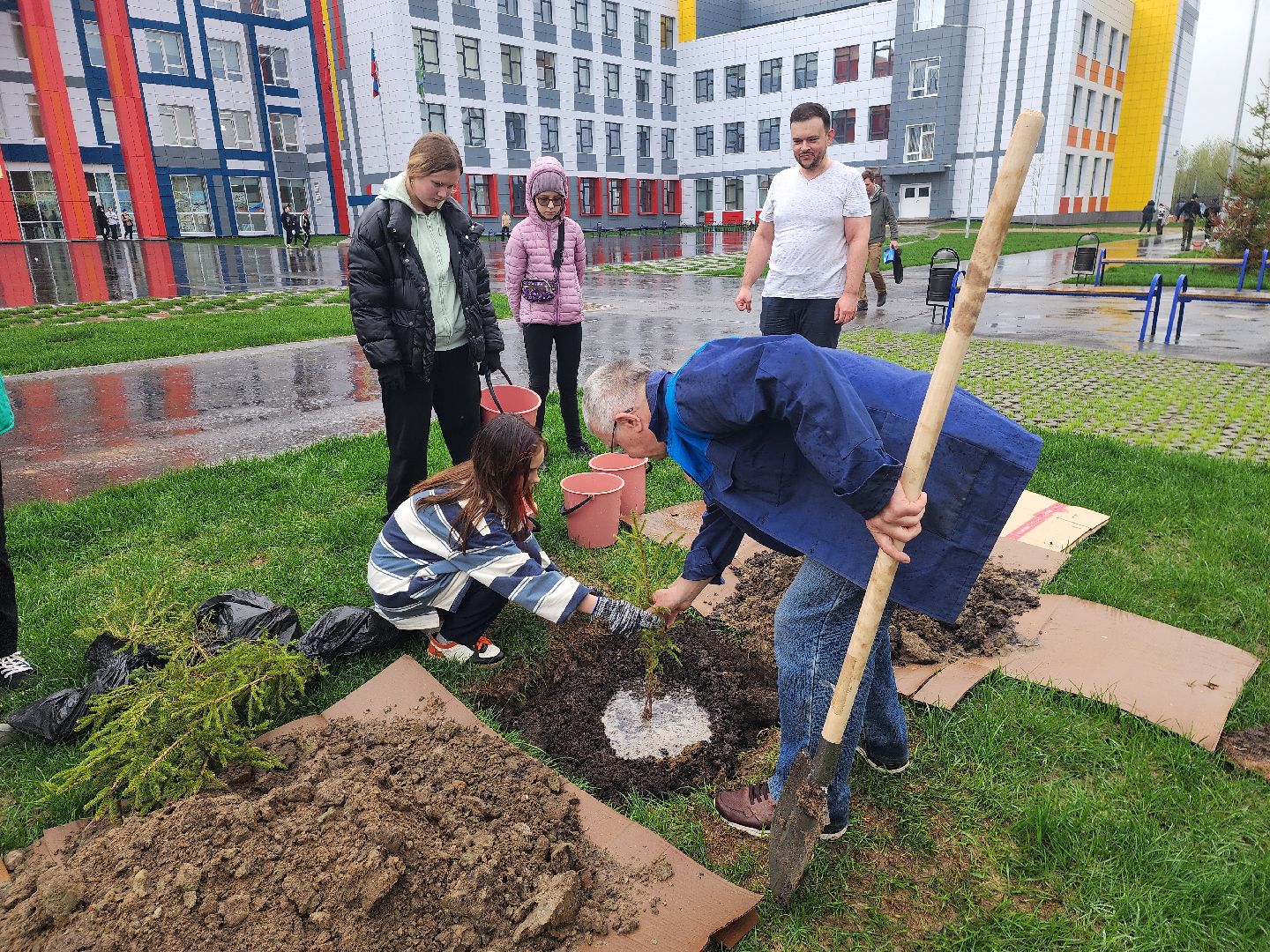 день добрых дел, шатура, лицей перспектива, елки, высадка деревьев, областная акция,