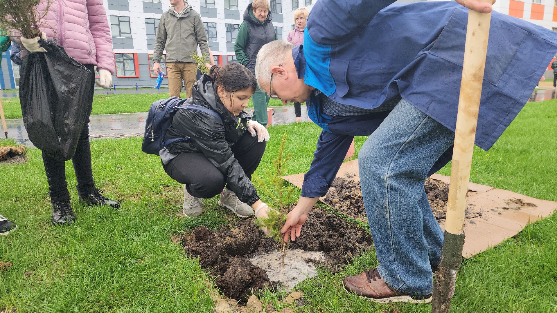 день добрых дел, шатура, лицей перспектива, елки, высадка деревьев, областная акция,