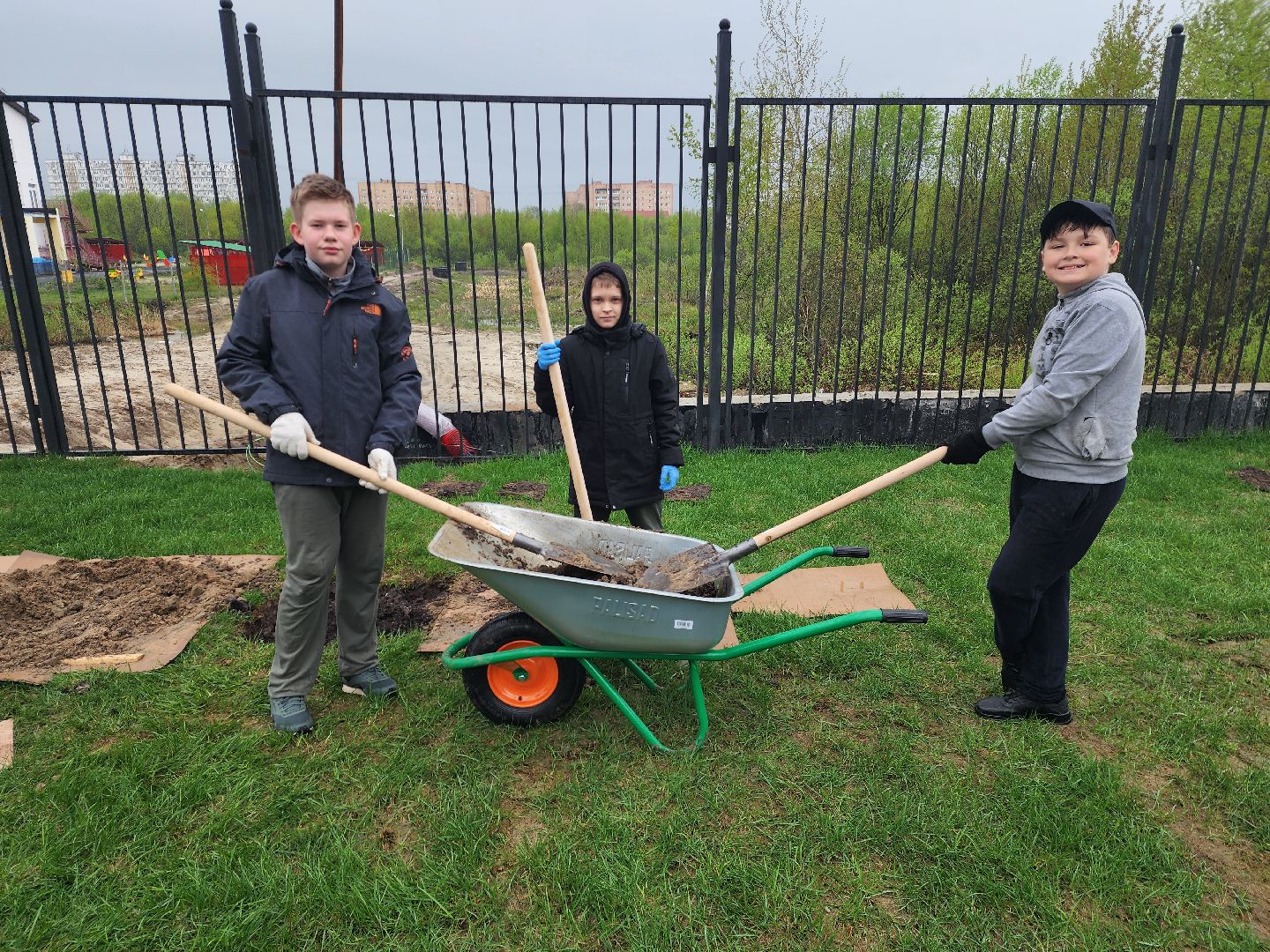 день добрых дел, шатура, лицей перспектива, елки, высадка деревьев, областная акция,