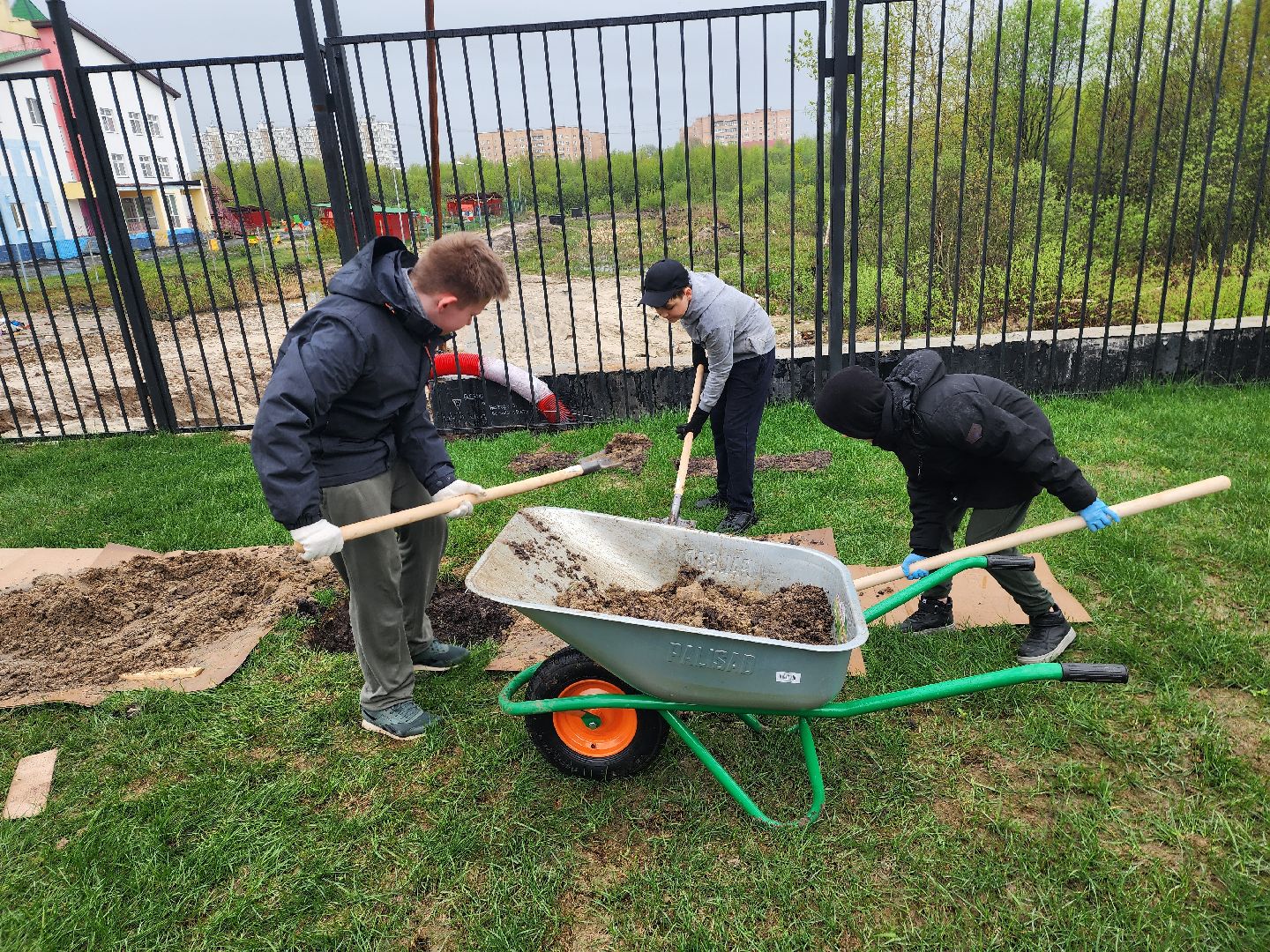 день добрых дел, шатура, лицей перспектива, елки, высадка деревьев, областная акция,