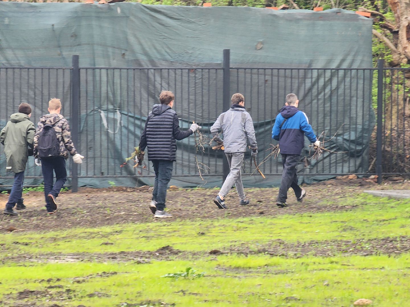 день добрых дел, ногинск, школа, посадка деревьев, сосновая аллея,