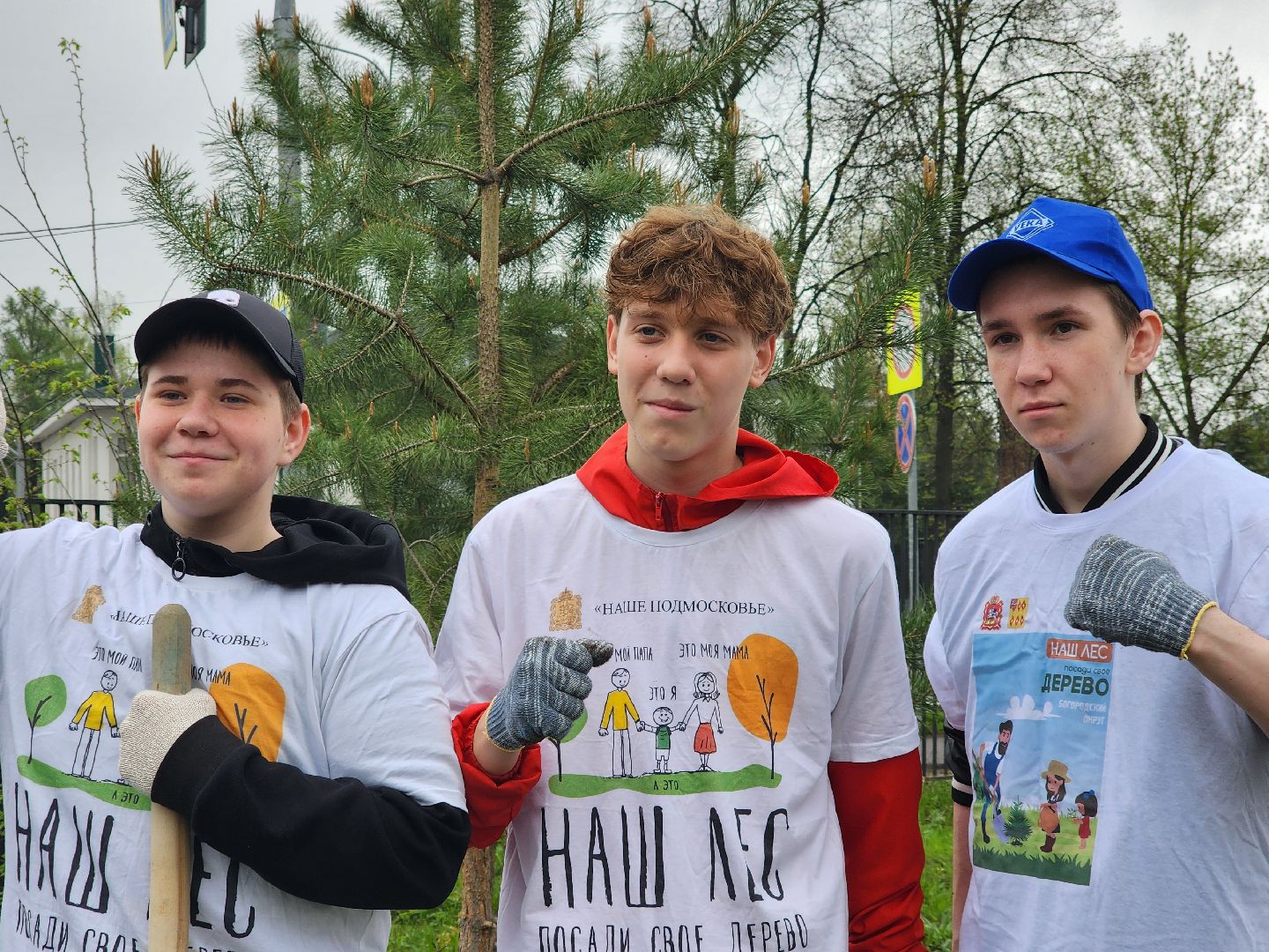 день добрых дел, ногинск, школа, посадка деревьев, сосновая аллея,