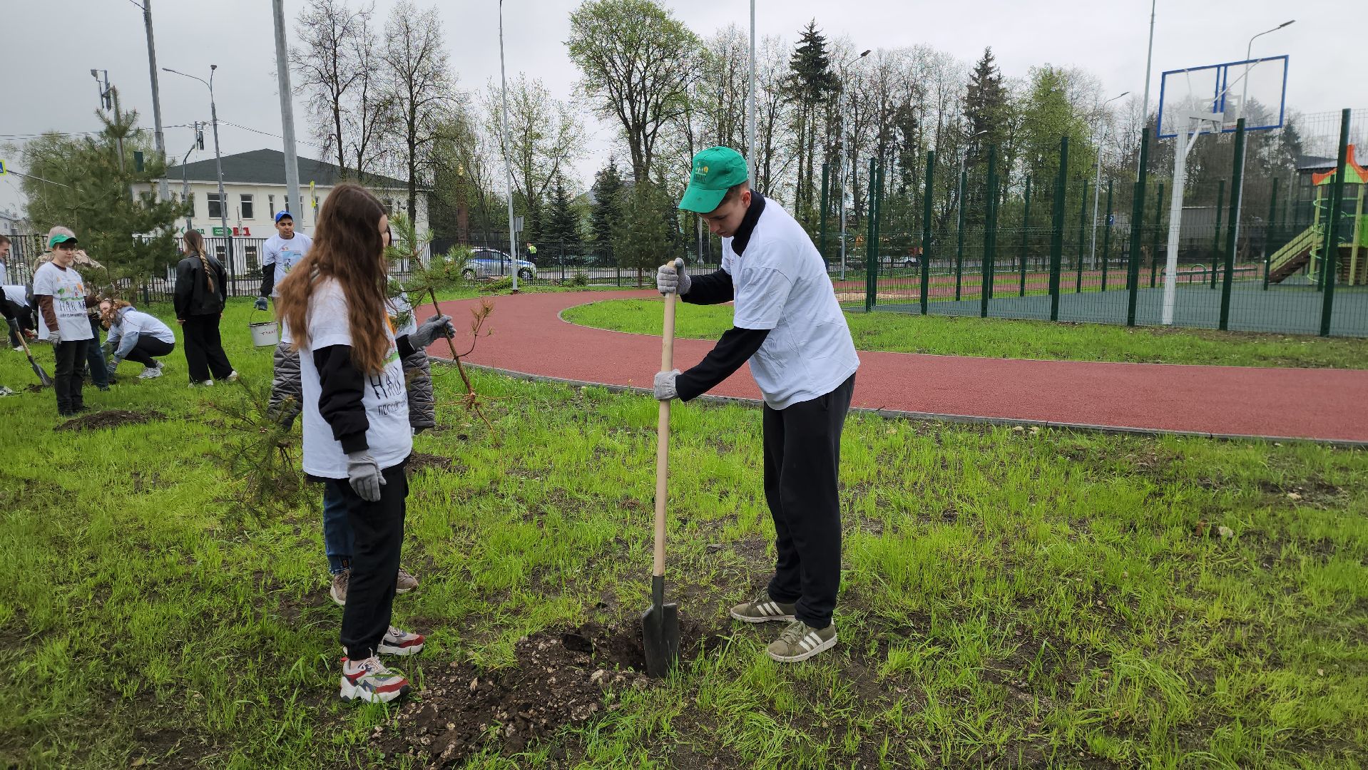 день добрых дел, ногинск, школа, посадка деревьев, сосновая аллея,