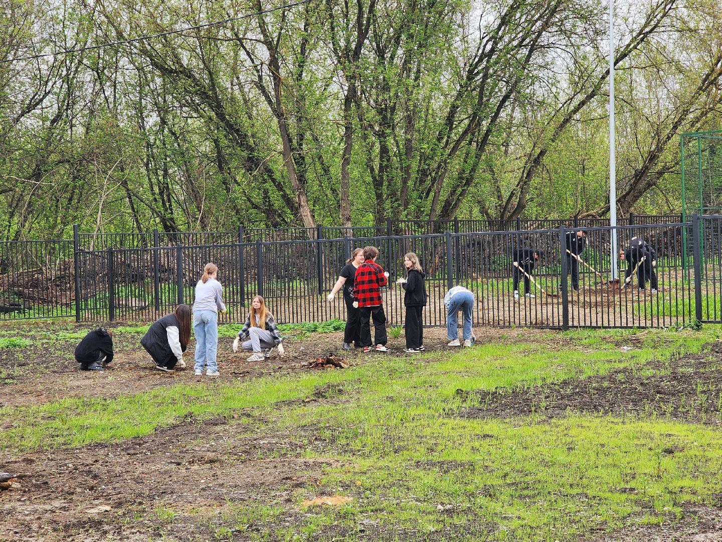 день добрых дел, ногинск, школа, посадка деревьев, сосновая аллея,