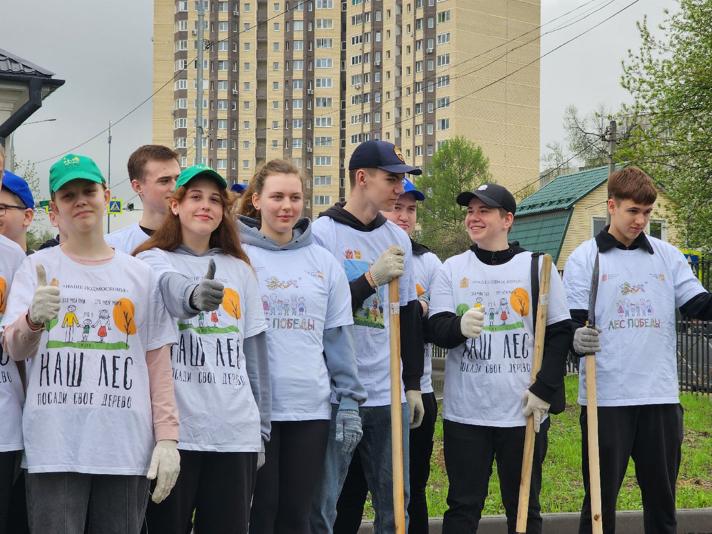 день добрых дел, ногинск, школа, посадка деревьев, сосновая аллея,