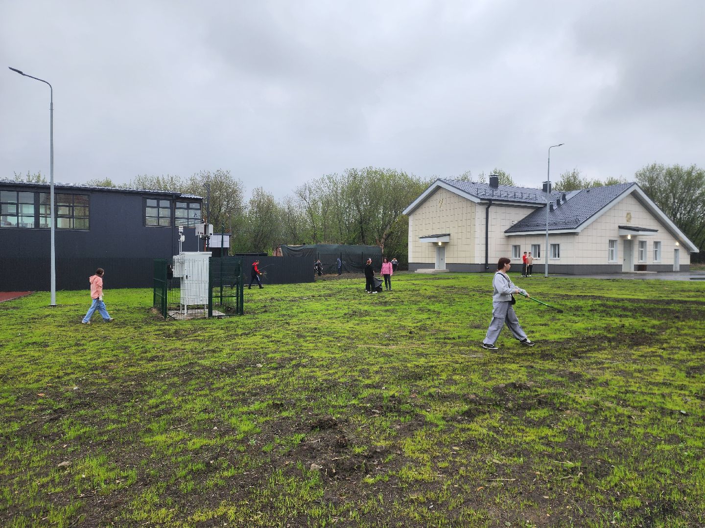 день добрых дел, ногинск, школа, посадка деревьев, сосновая аллея,