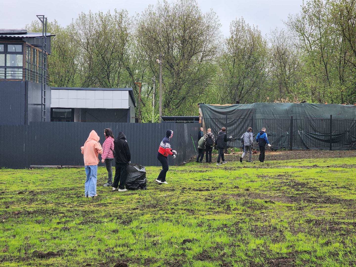 день добрых дел, ногинск, школа, посадка деревьев, сосновая аллея,