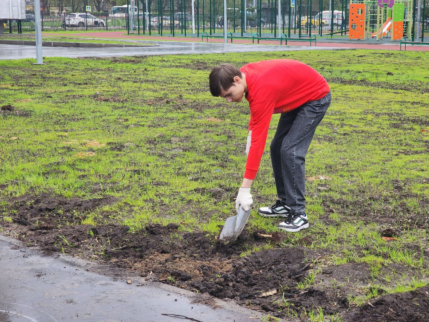 день добрых дел, ногинск, школа, посадка деревьев, сосновая аллея,