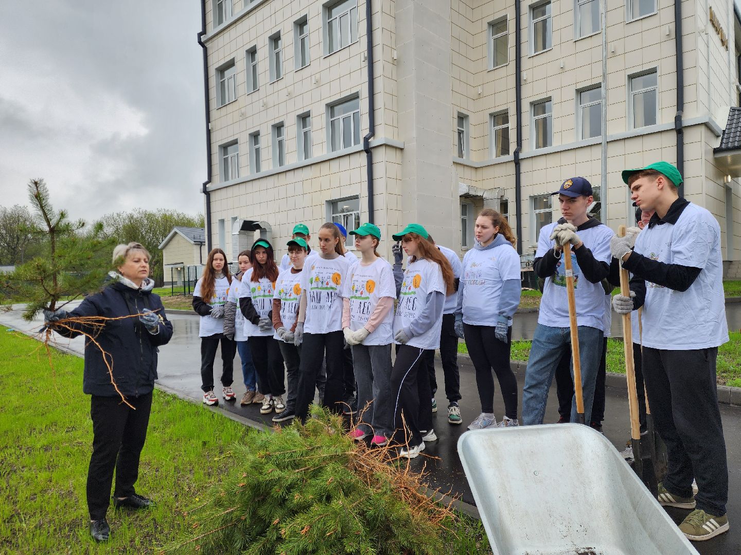 день добрых дел, ногинск, школа, посадка деревьев, сосновая аллея,