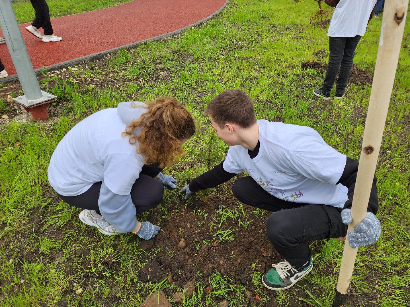 день добрых дел, ногинск, школа, посадка деревьев, сосновая аллея,