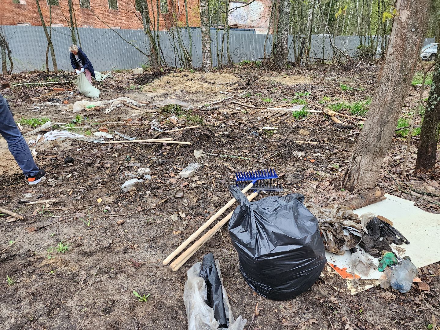 красноармейск, г.о. пушкинский, общеобластной субботник, уборка общественных территорий,