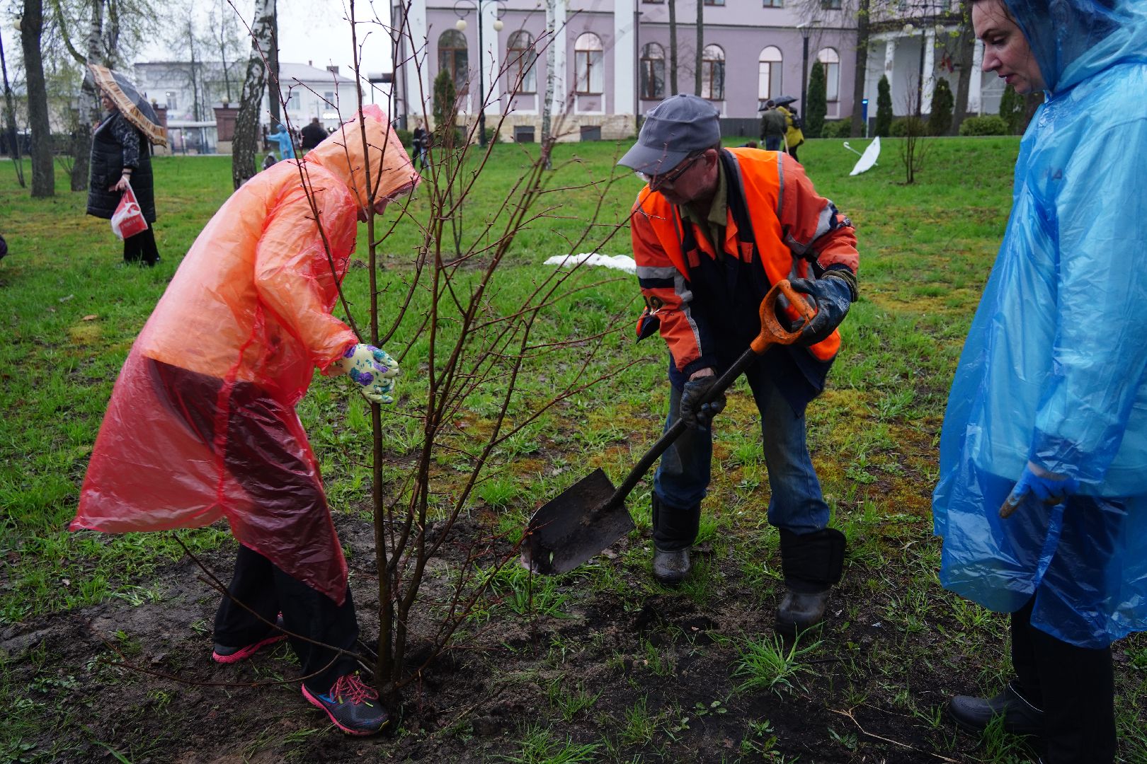 субботник, областной субботник, Рошаль, парк, парк Крестов брод, озеленение,