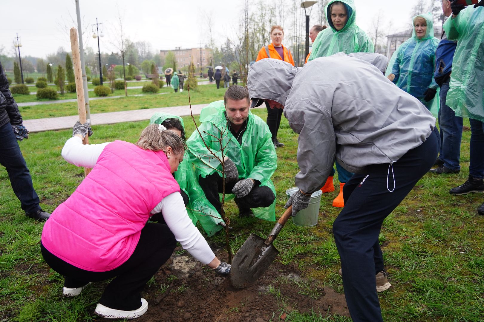 субботник, областной субботник, Рошаль, парк, парк Крестов брод, озеленение,