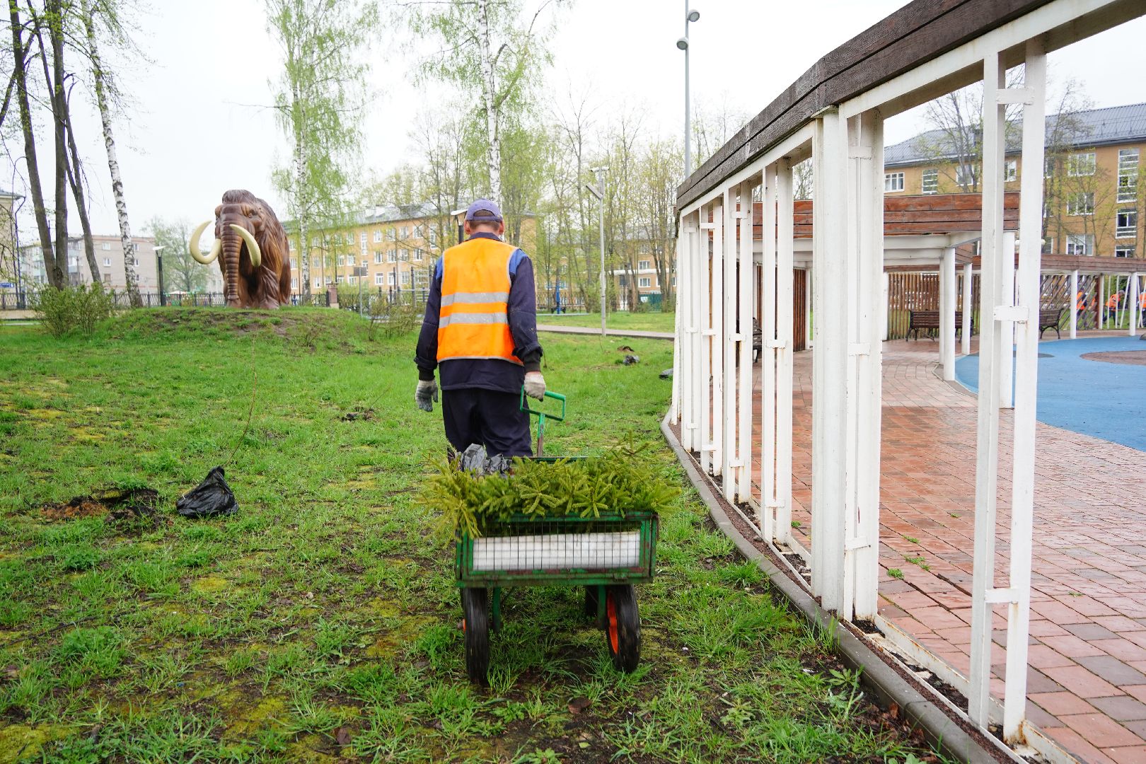 субботник, областной субботник, Рошаль, парк, парк Крестов брод, озеленение,