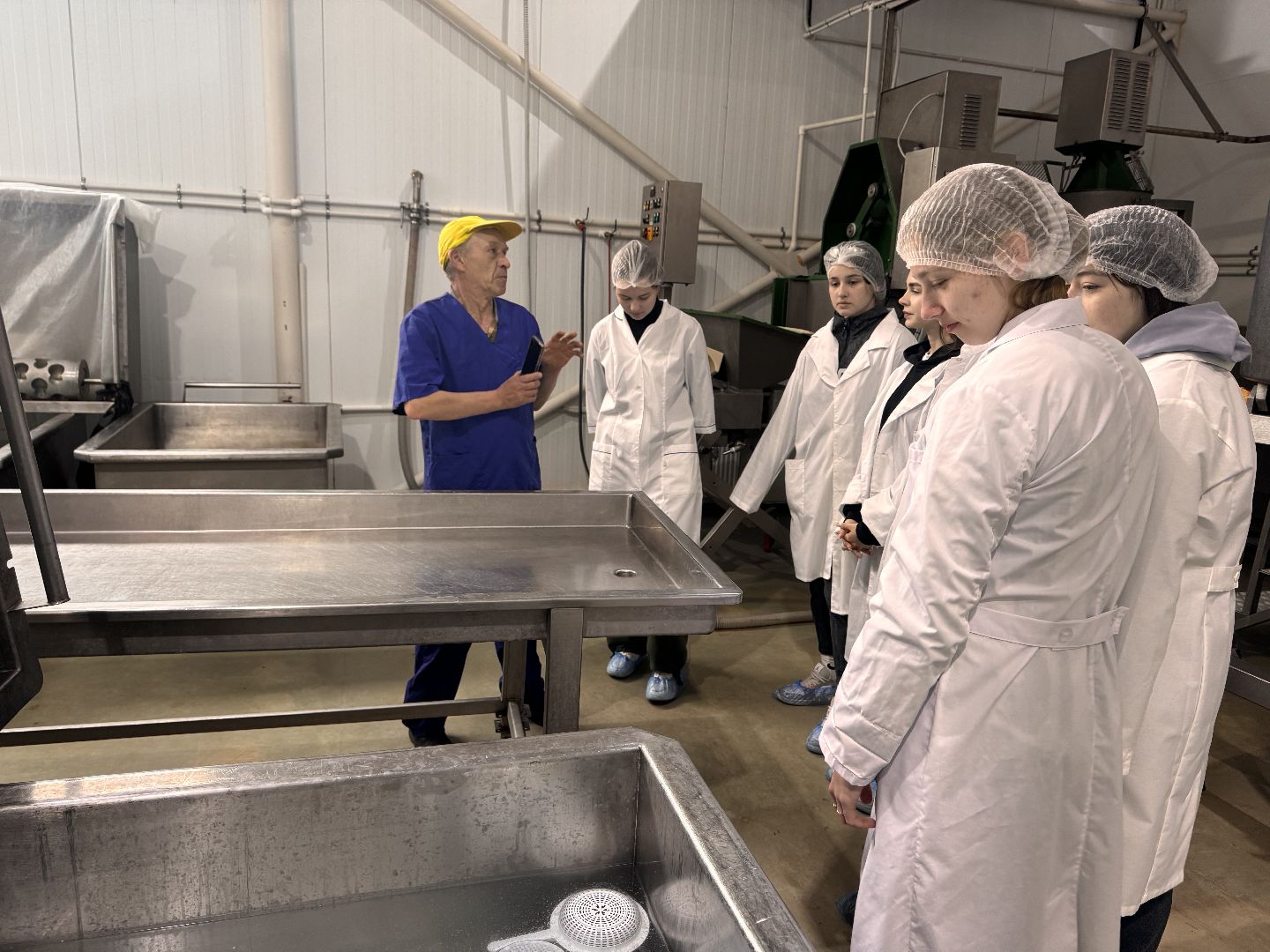 шаховская, день добрых дел, сыроварня,