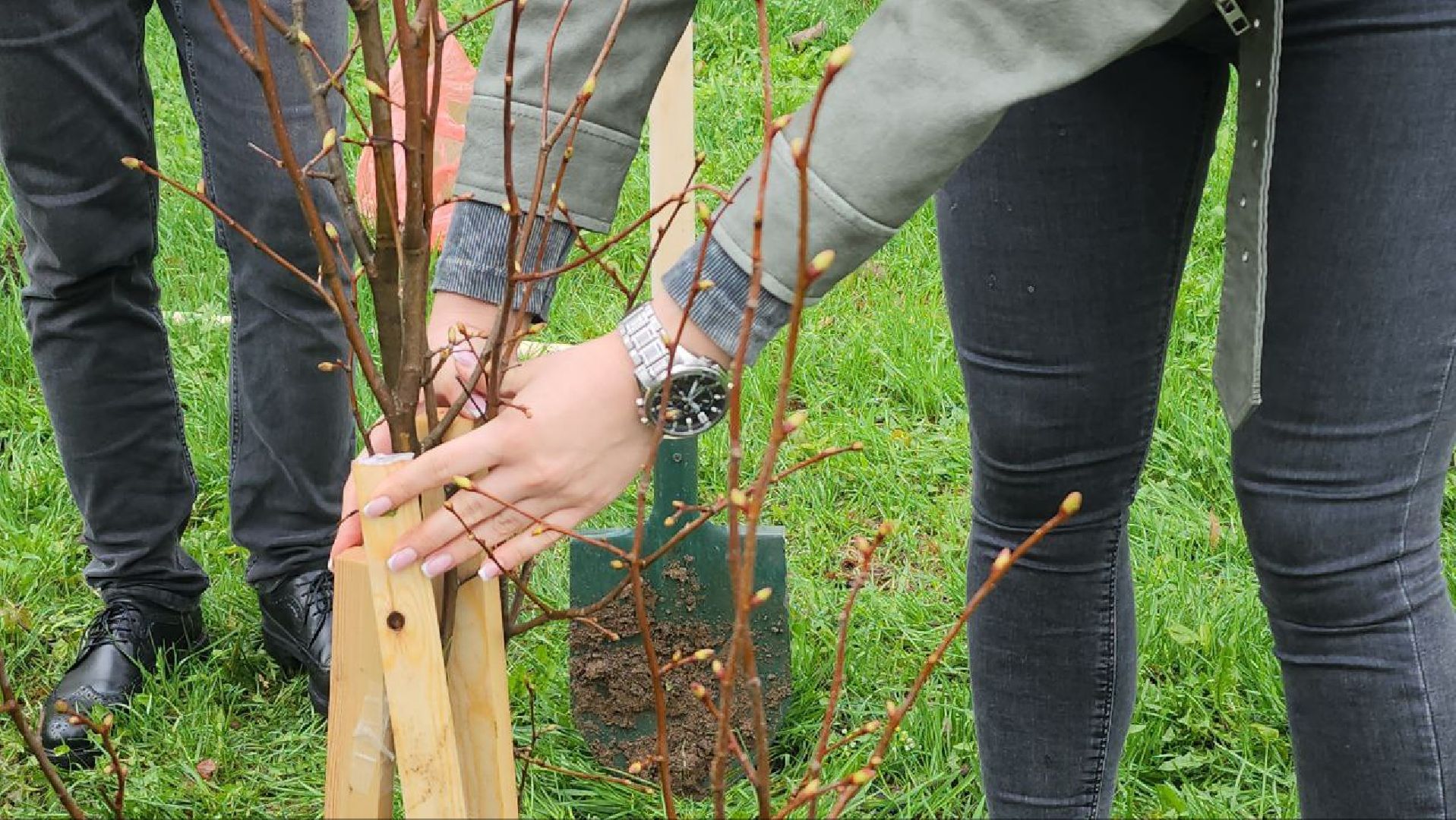 люберцы, парки, благоустройство,