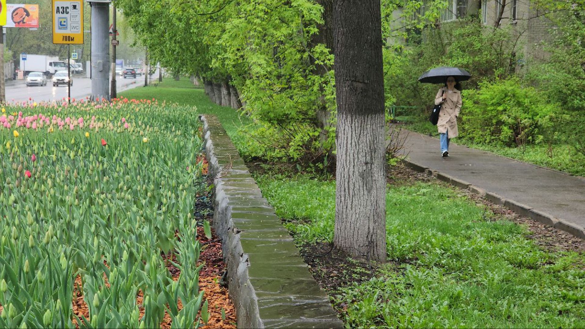 люберцы, парки, благоустройство,